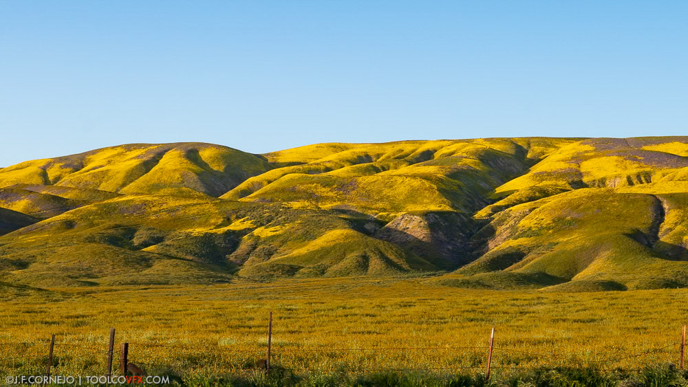 Carrizo Plain, CA
