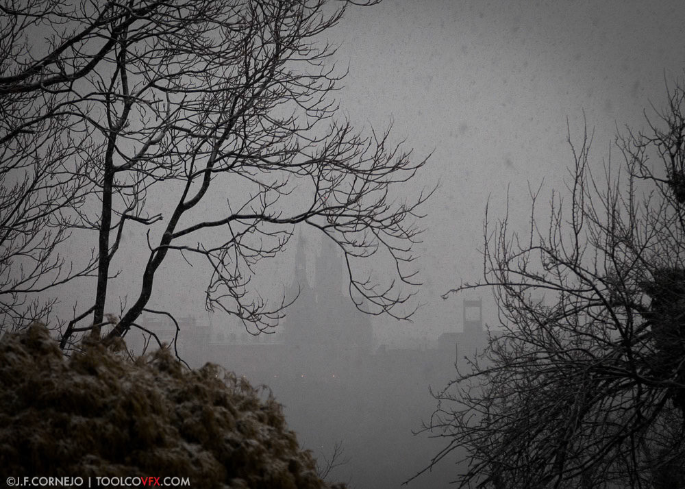 Georgetown University