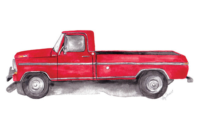 Custom Illustration