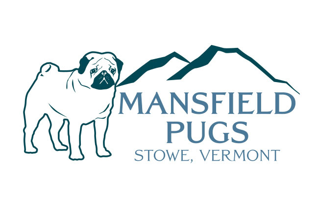 Mansfield Pugs Logo