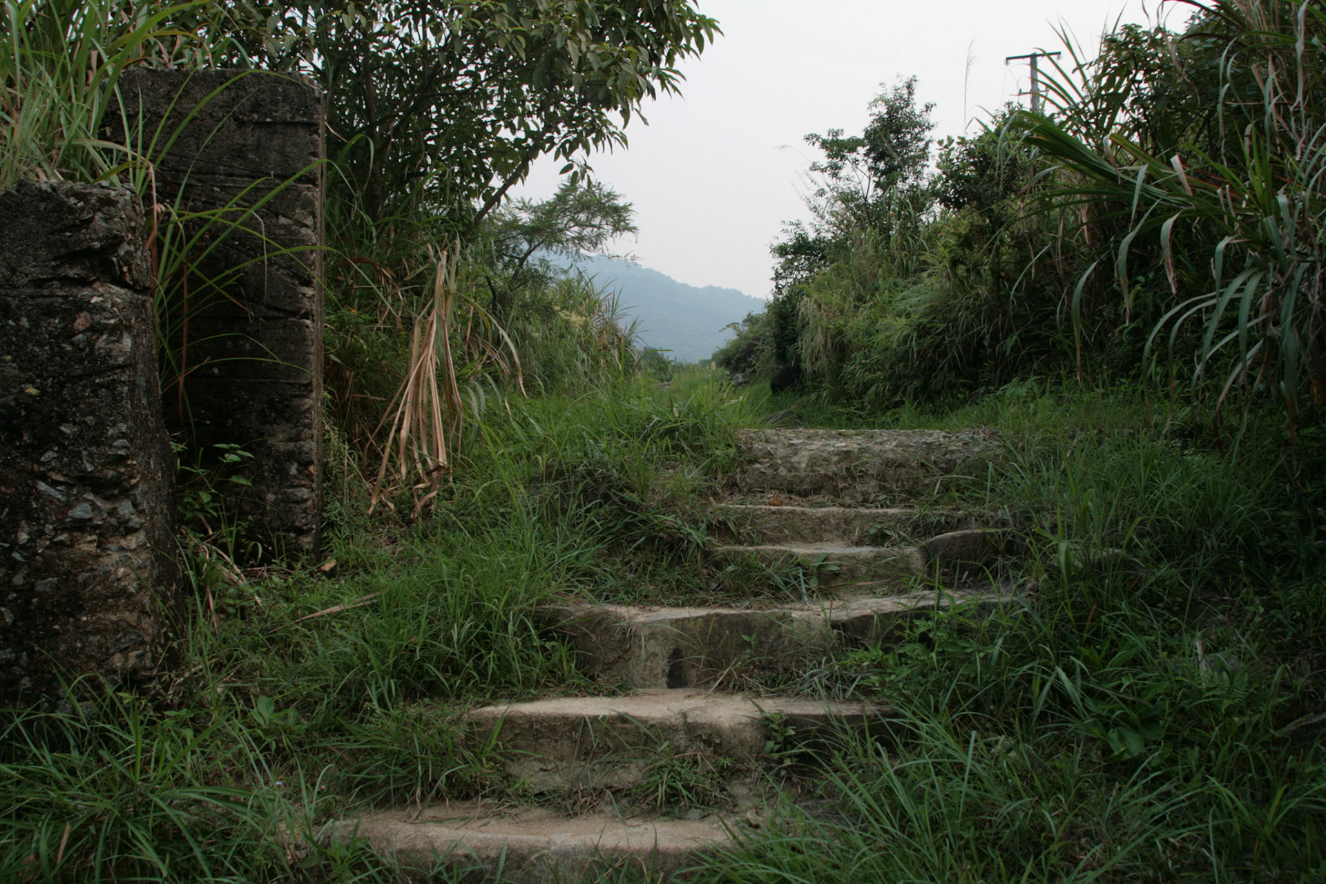 Shing Mun Country Park, Wilson Trail Stage 7