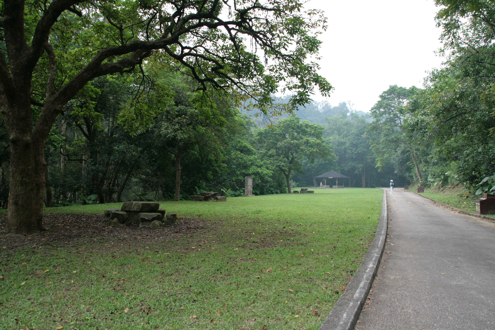 Shing Mun Country Park, Wilson Trail Stage 7