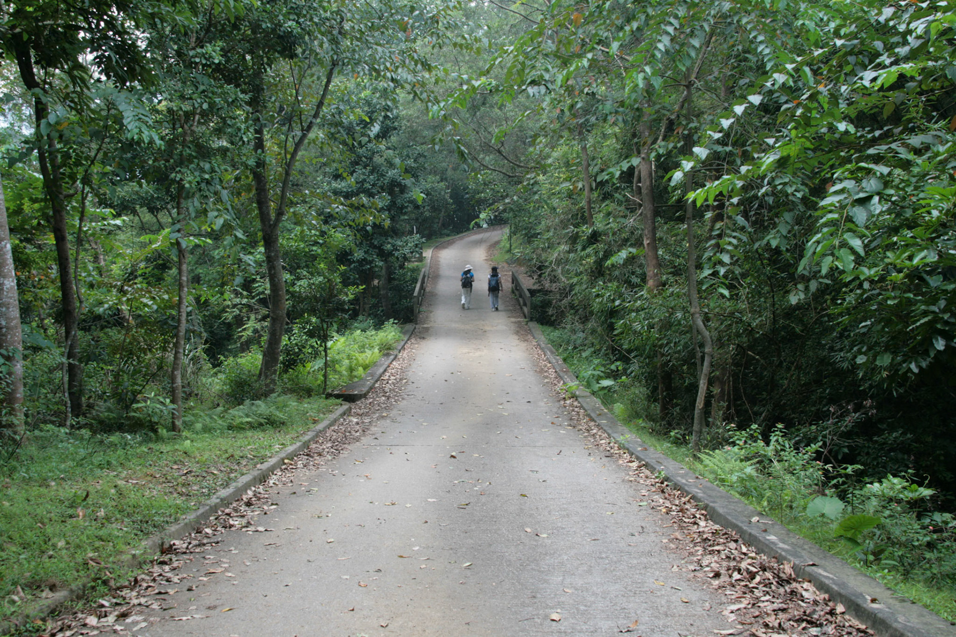 Shing Mun Country Park, Wilson Trail Stage 7