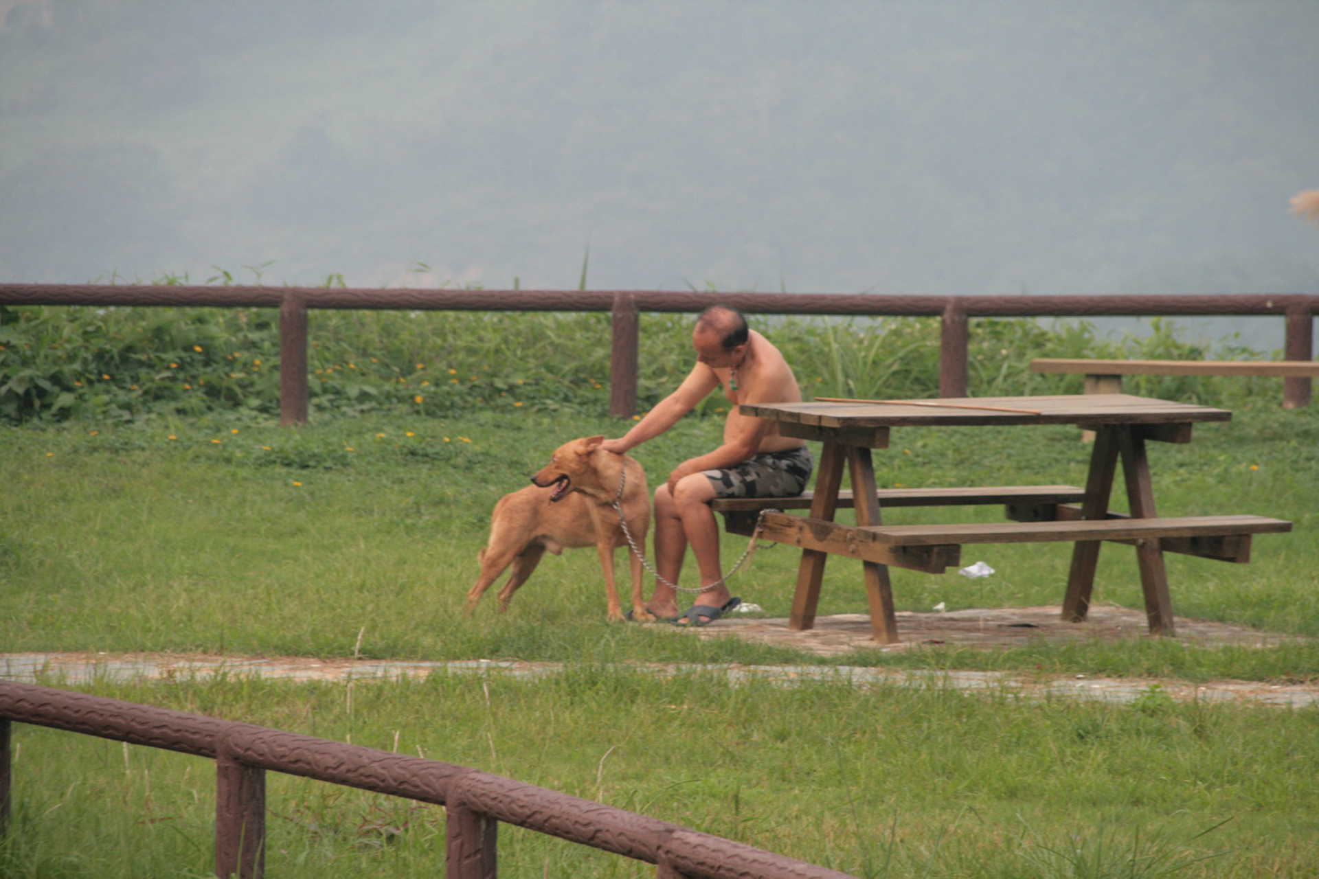 Man with a Dog Shing Mun Country Park, Wilson Trail Stage 7, Dog