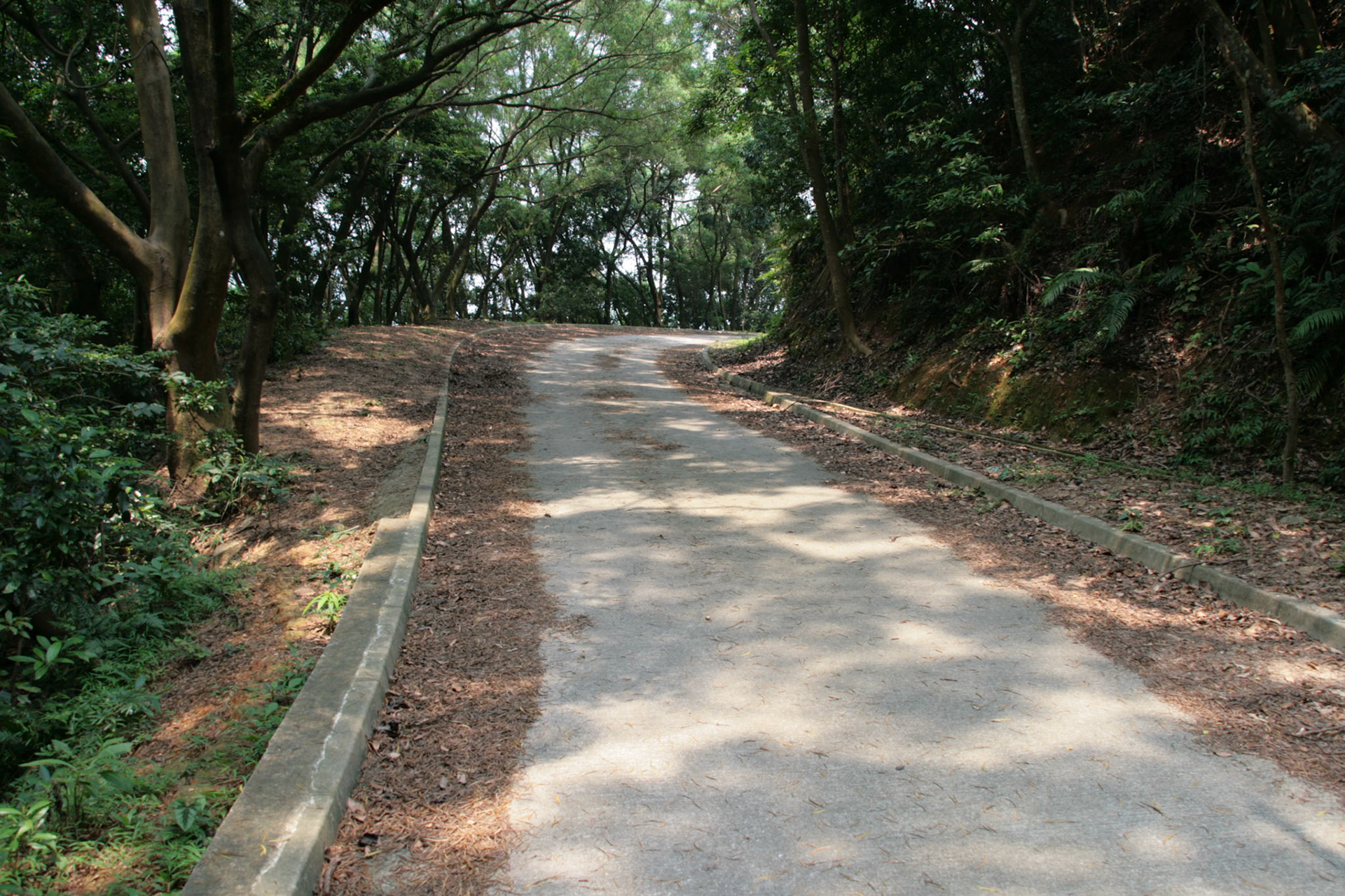 Shing Mun Country Park, Wilson Trail Stage 7