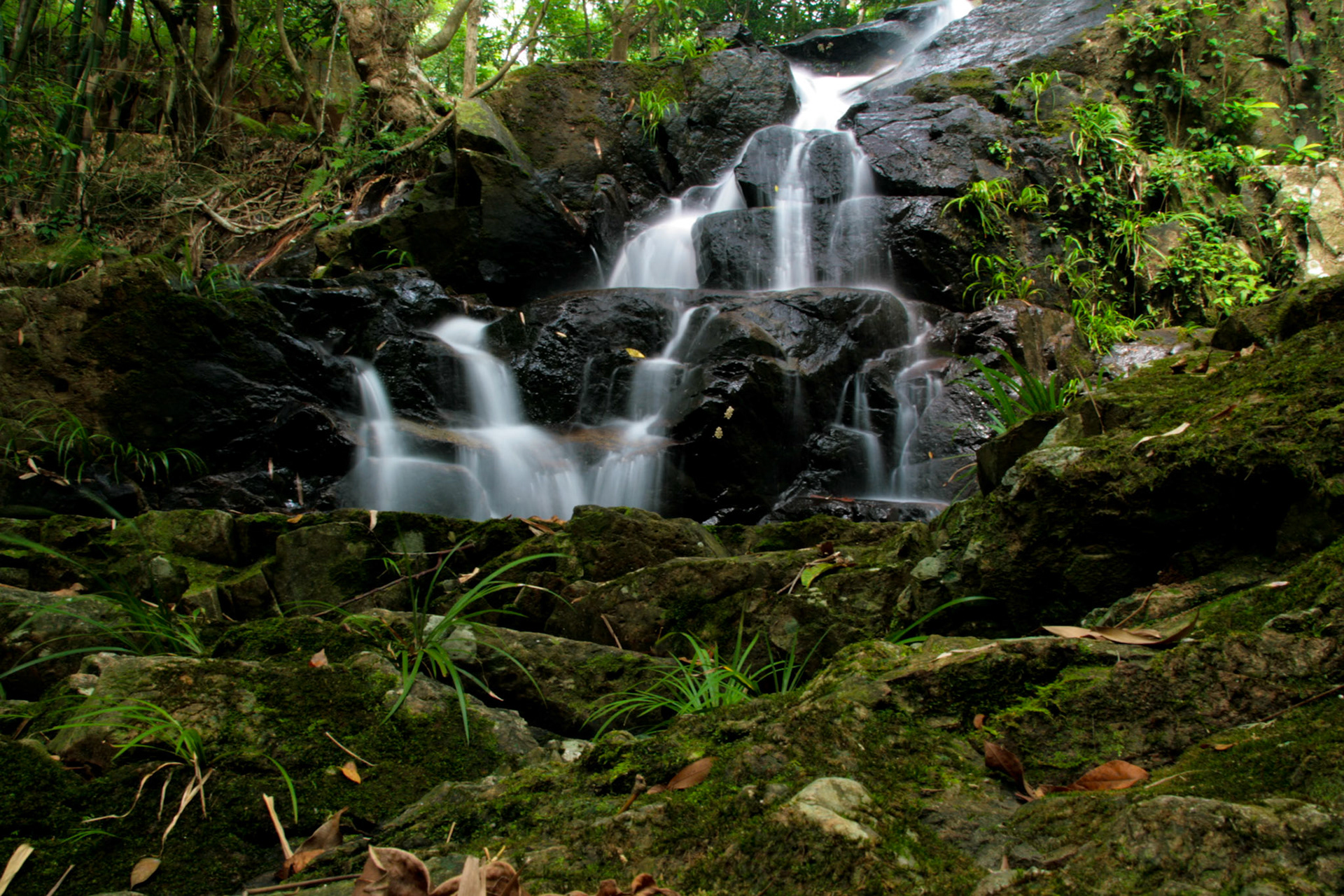 Shing Mun Country Park, Wilson Trail Stage 7, Waterfall