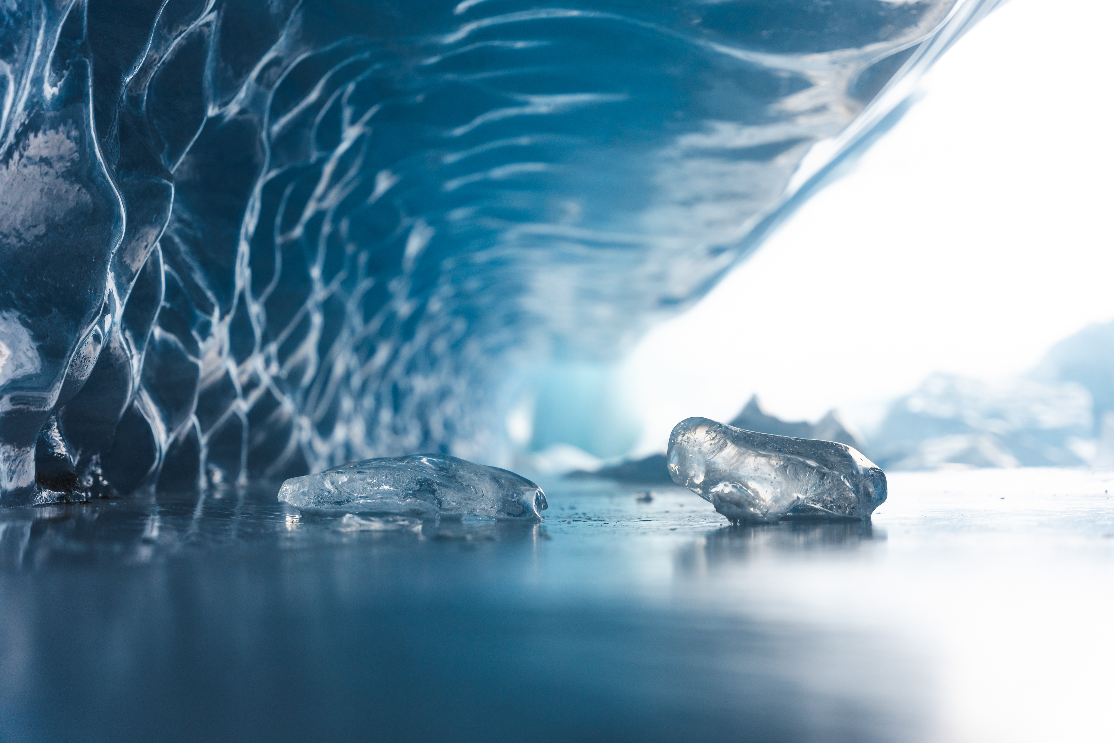 Icebergs in a Frozen Sea