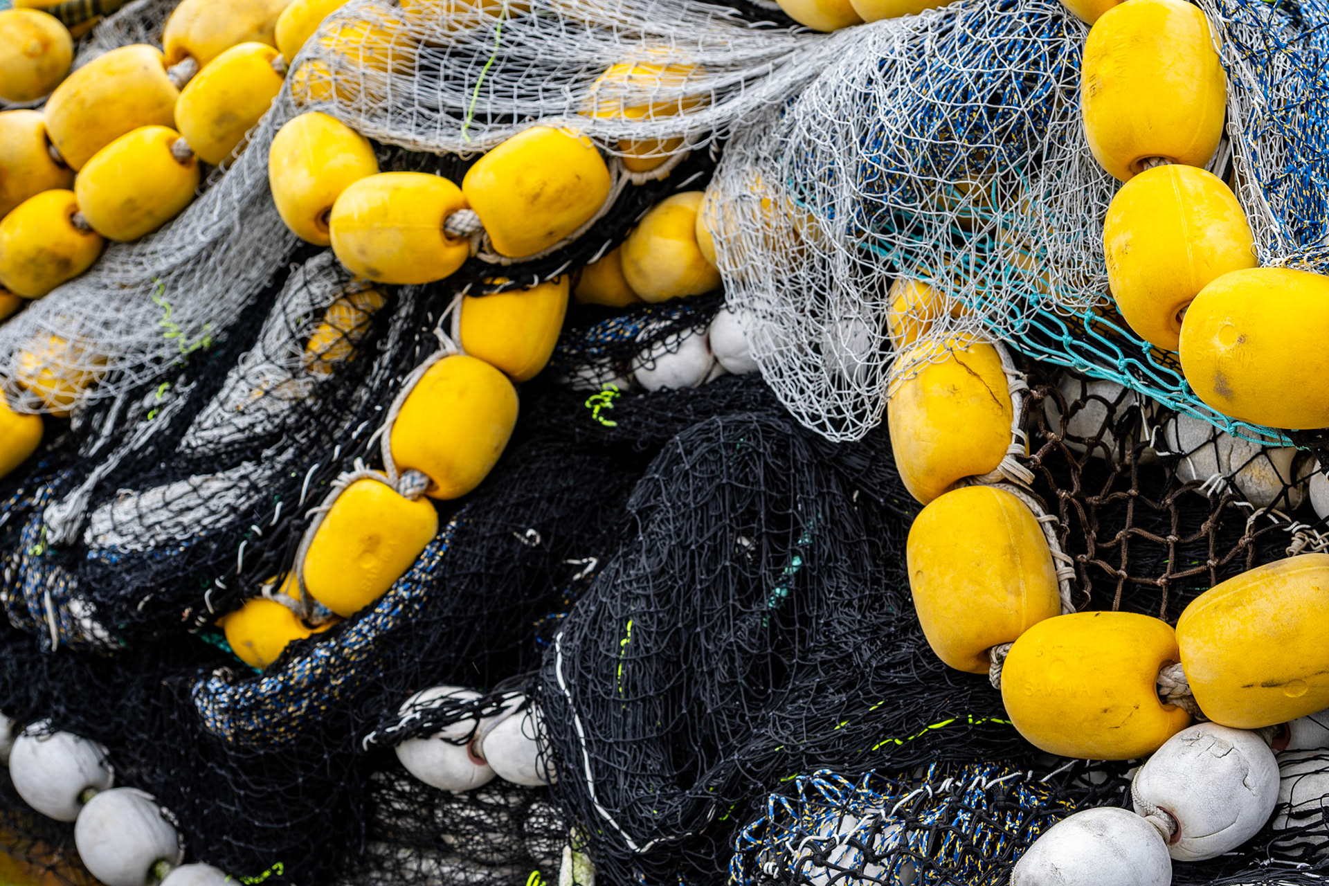 Petersburg Fishing Nets