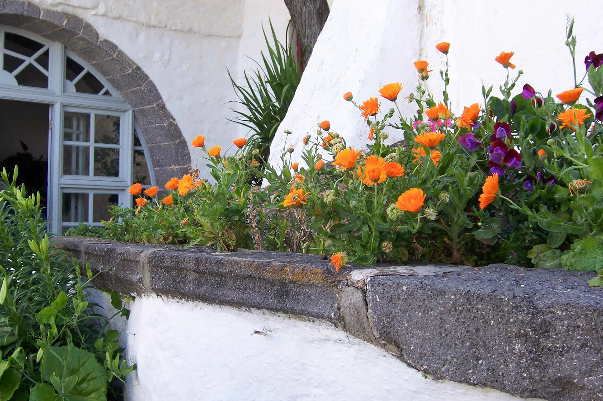 Patmos Monastery of St. John the theologian