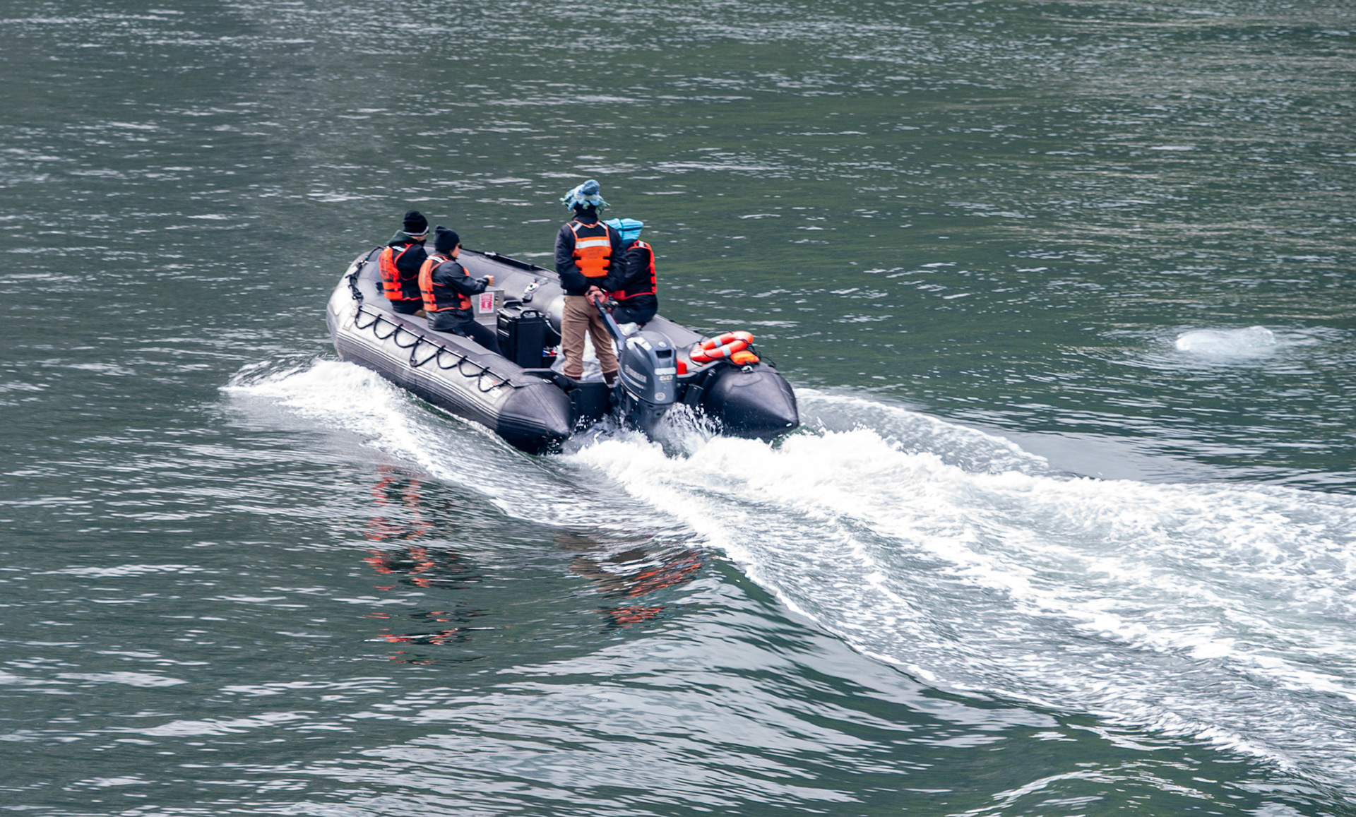 One of our Zodiacs