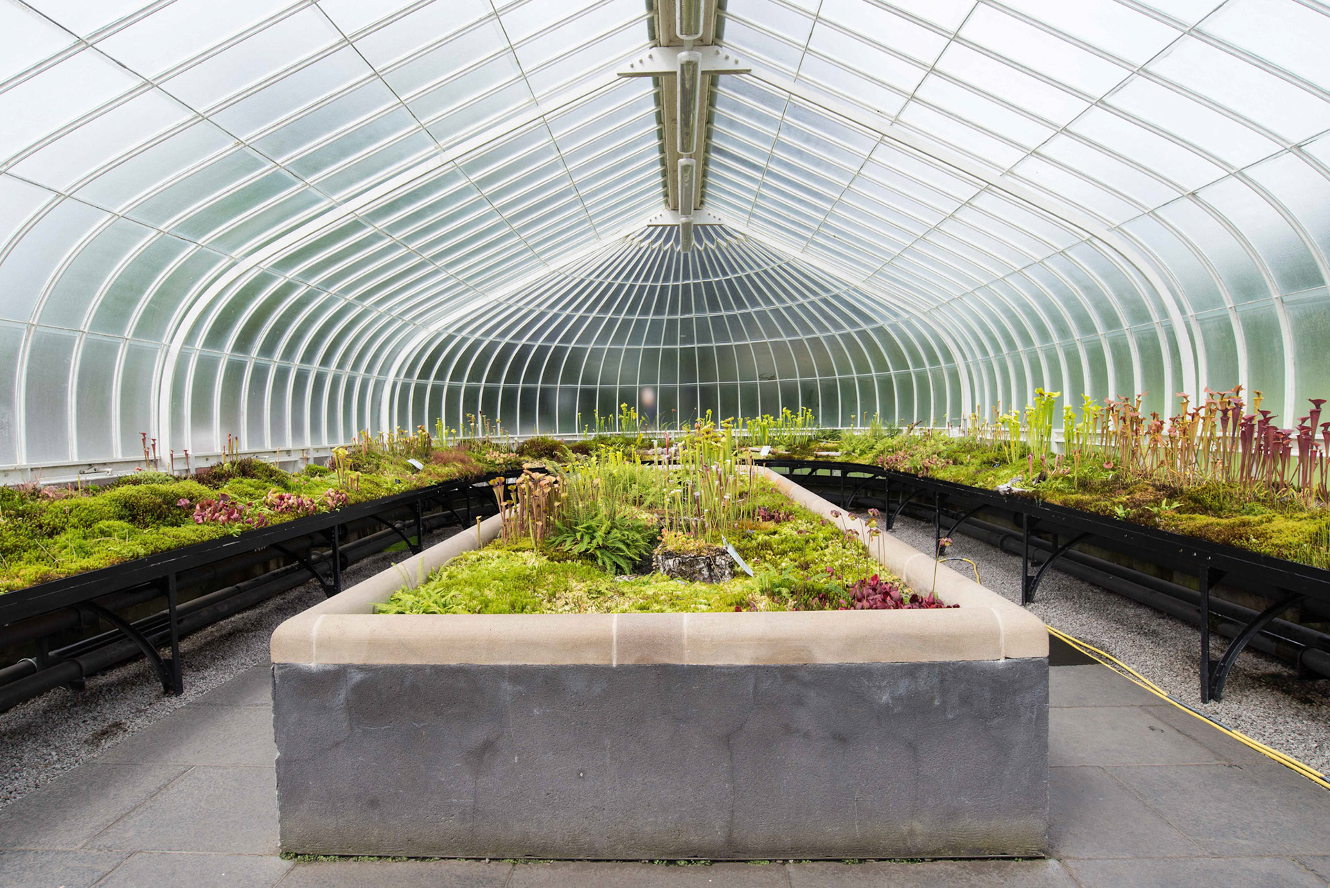 Glasgow Botanic Gardens