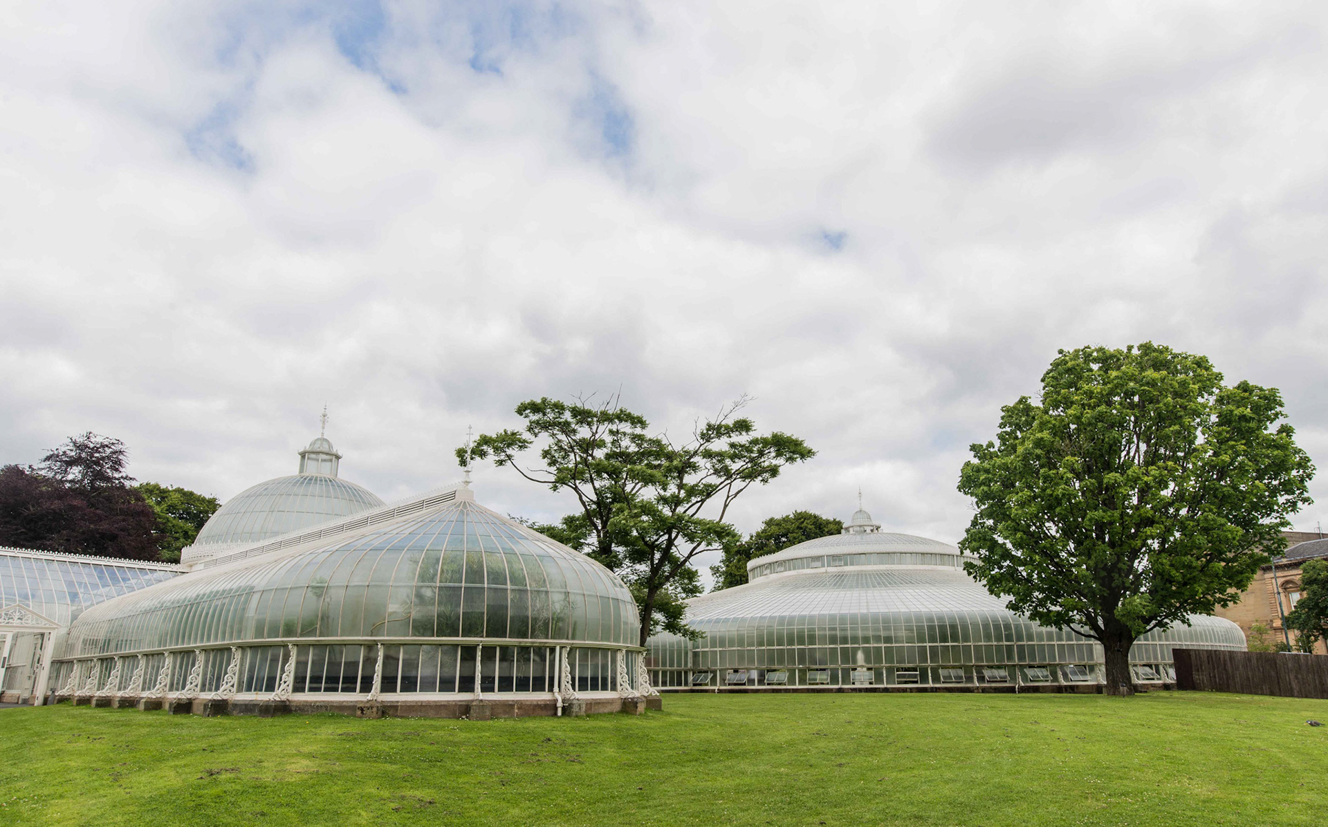 Glasgow Botanic Gardens