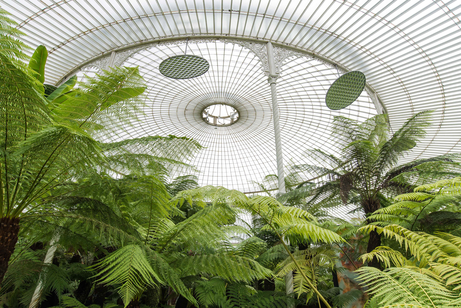 Glasgow Botanic Gardens