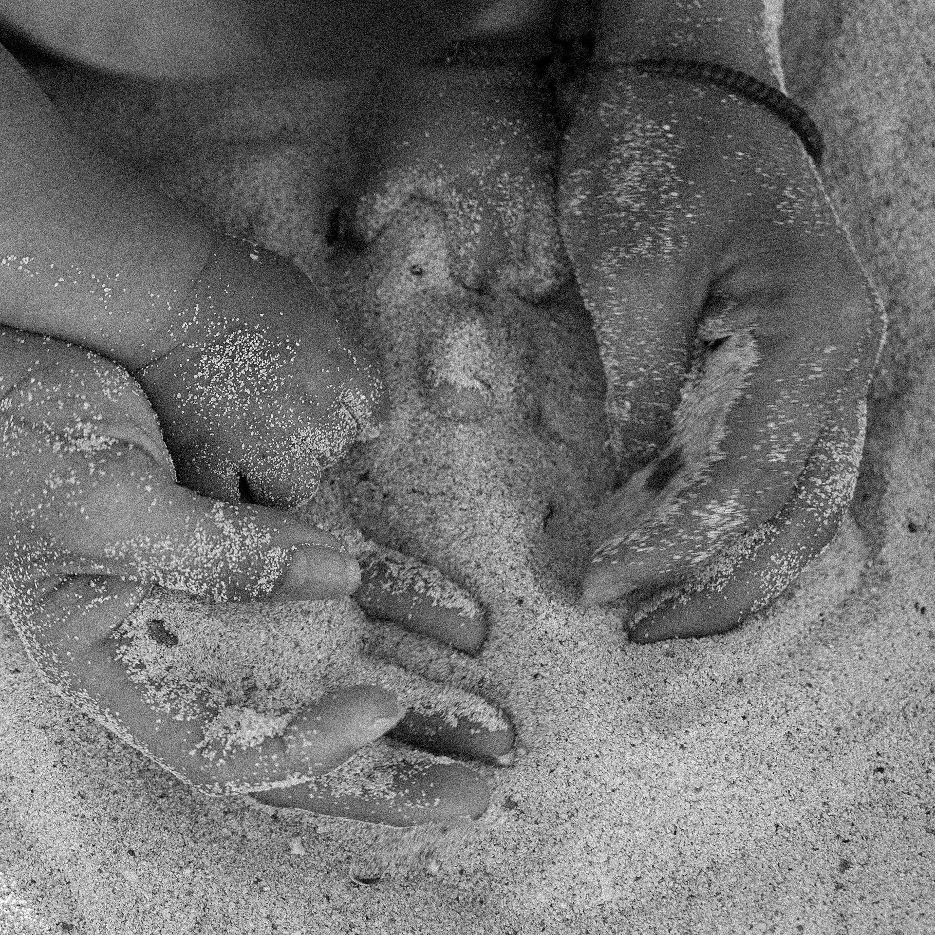 Vania y Natán, Cozumel, 2019