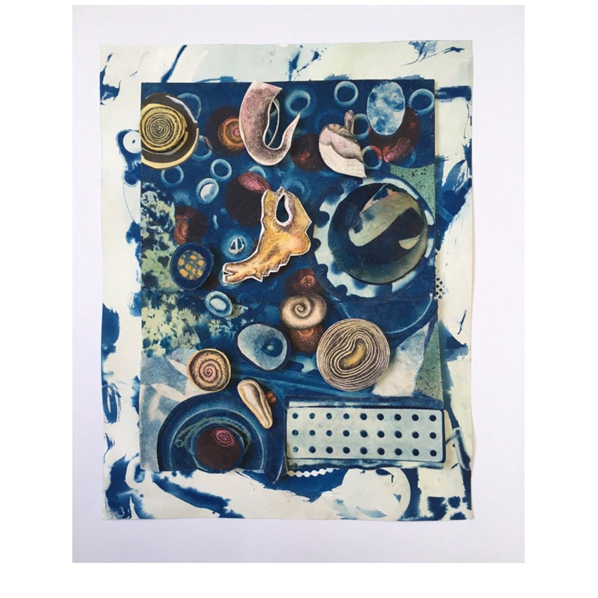 Washashore - collaboration with Michael Biddle 2020 cyanotype