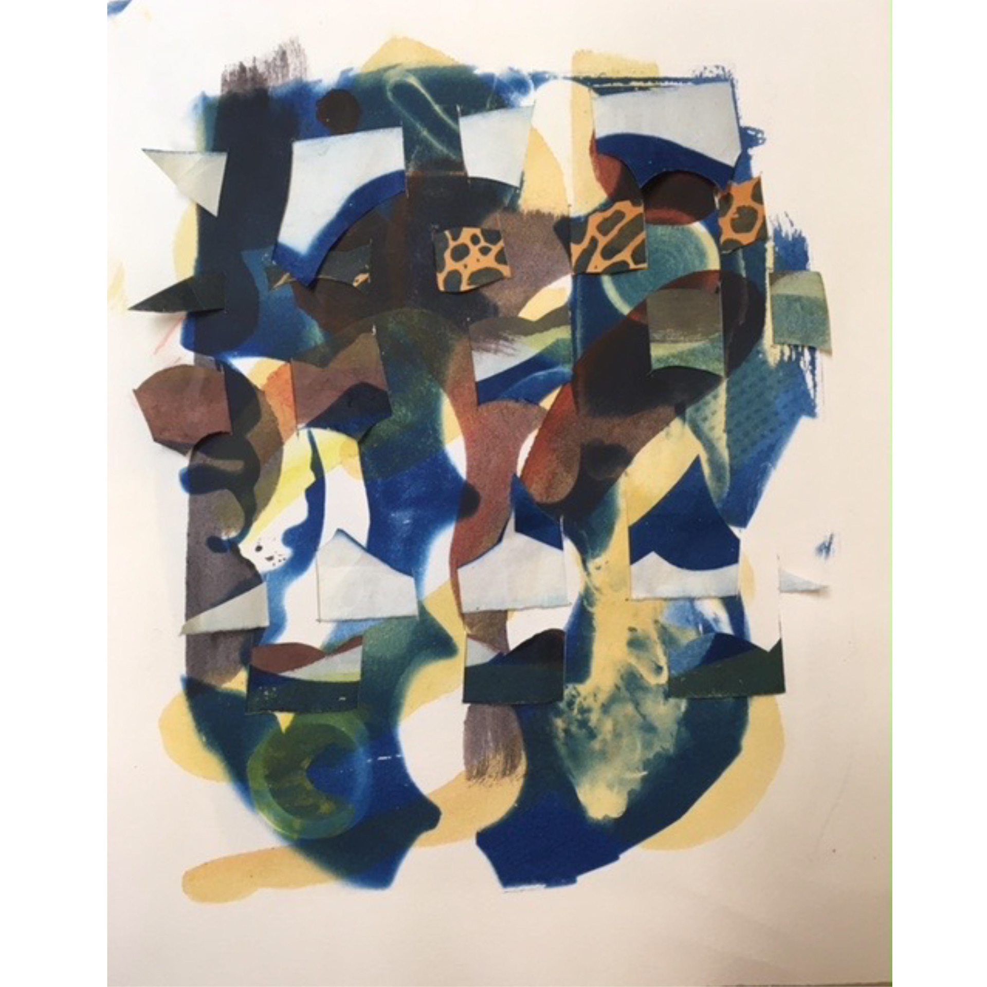 Crossing Purposes – 2017, 18.5 x 16.5” framed, cyanotype, acrylic wash on Arches paper