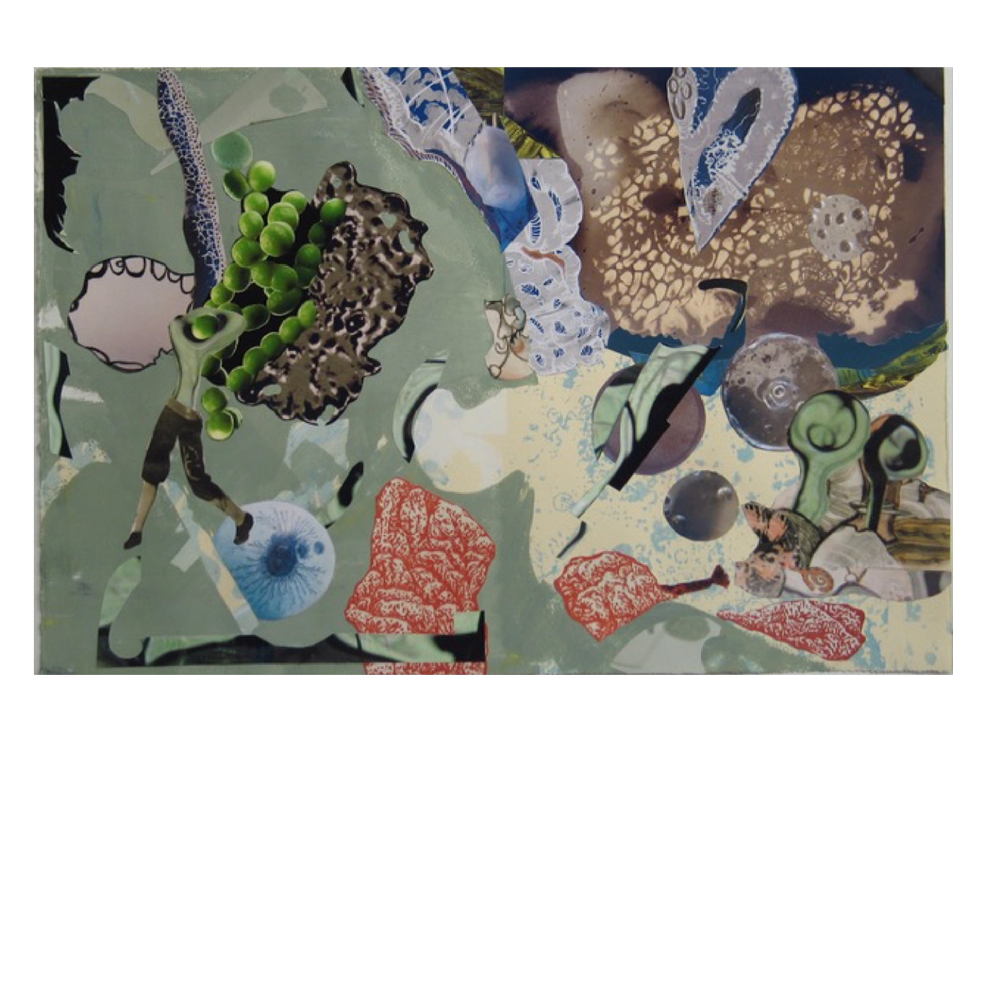 Breeder  2012  22”  X  15” Printed Matter, Collage