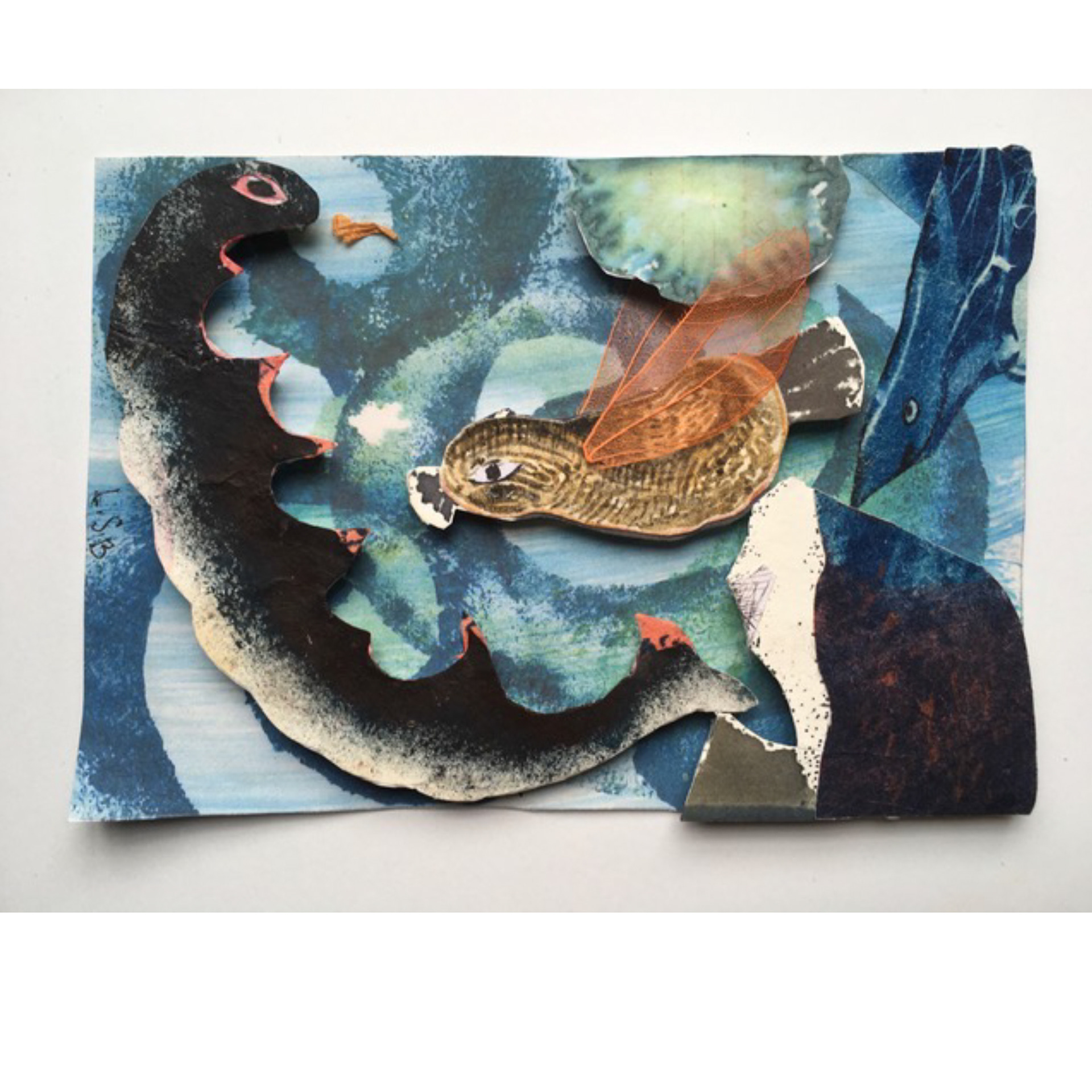 Encounter –  2021, 4 x 6.5 x ¼”, cyanotype, ink, skeleton leaf