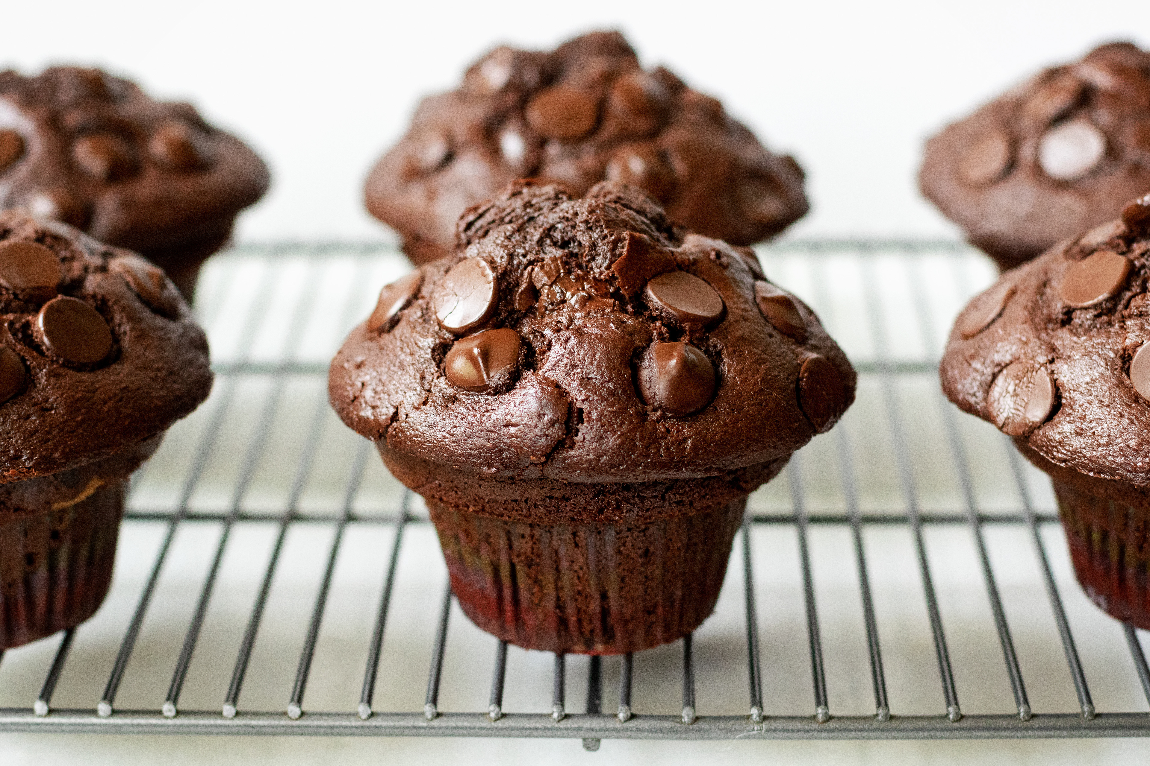 double chocolate chip muffins