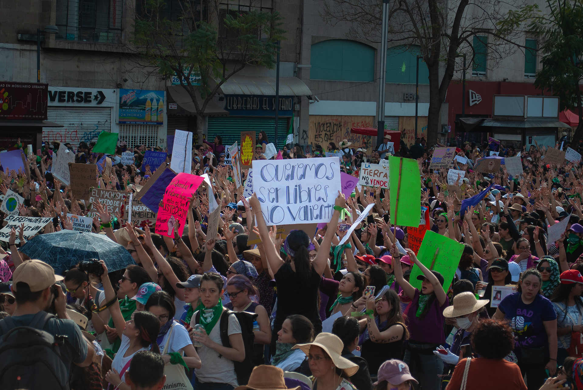 Día de la mujer (2019)