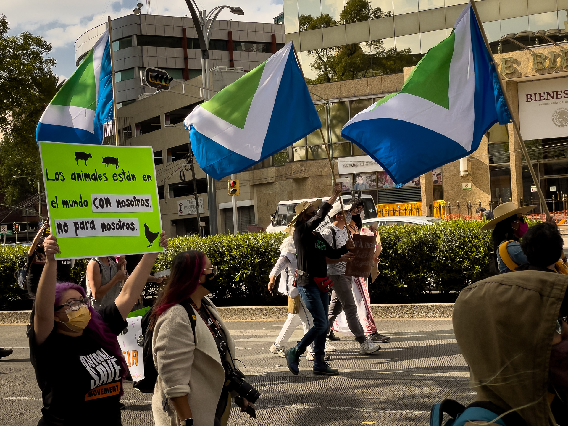 Marcha a favor de la liberación animal y el veganismo (2021)