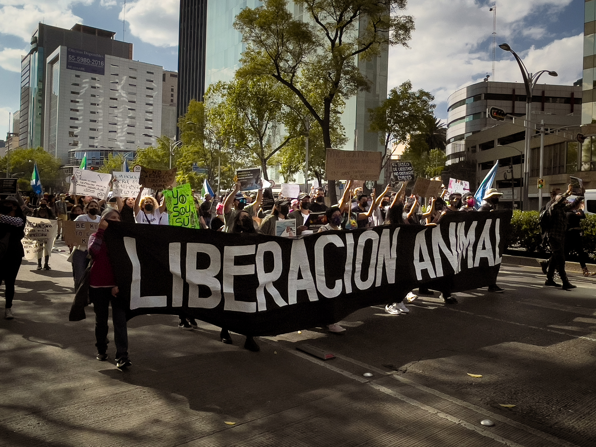 Marcha a favor de la liberación animal y el veganismo (2021)