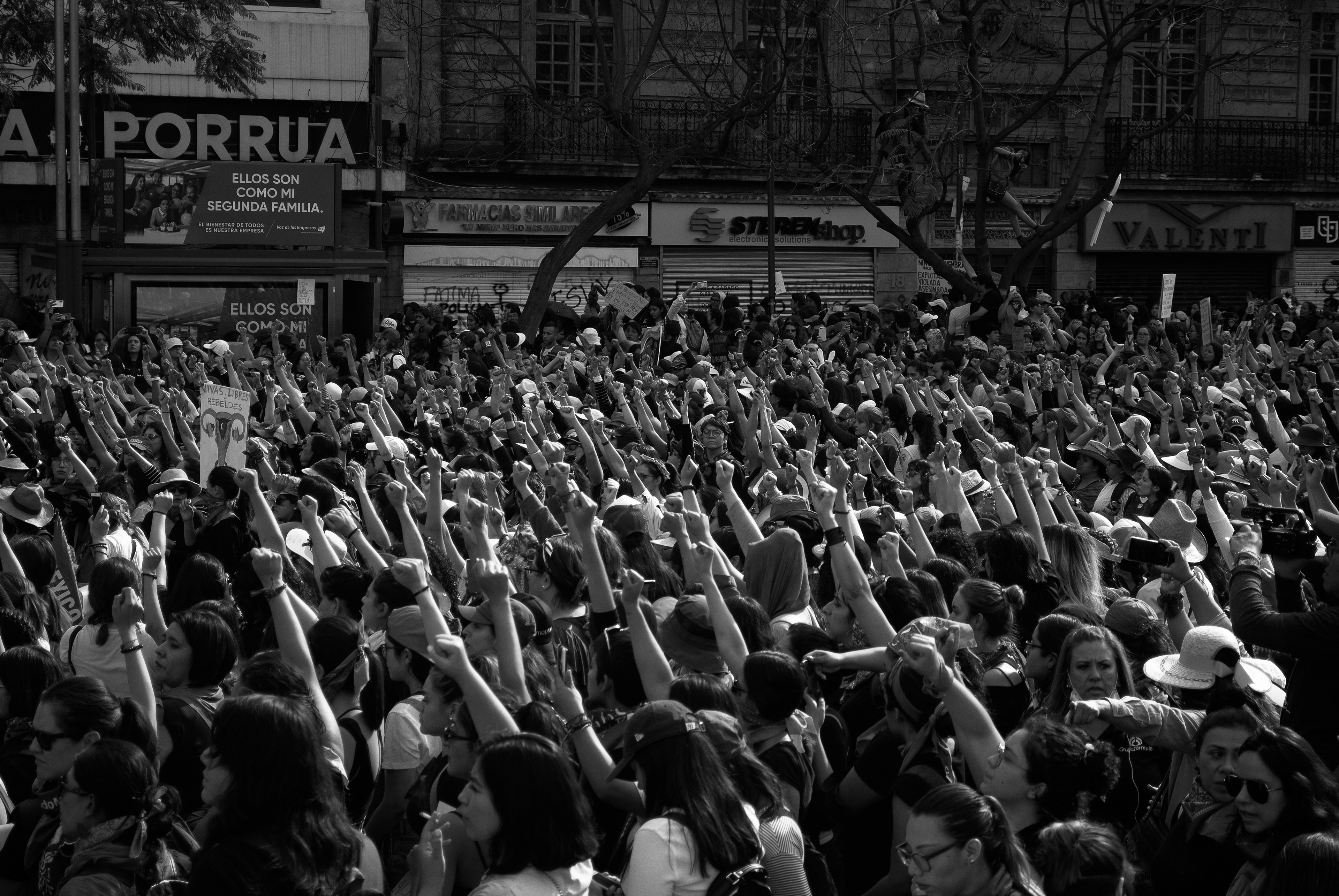 Día de la mujer (2019)