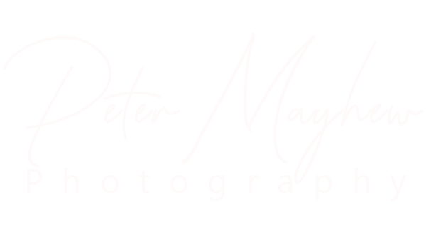 Peter Mayhew