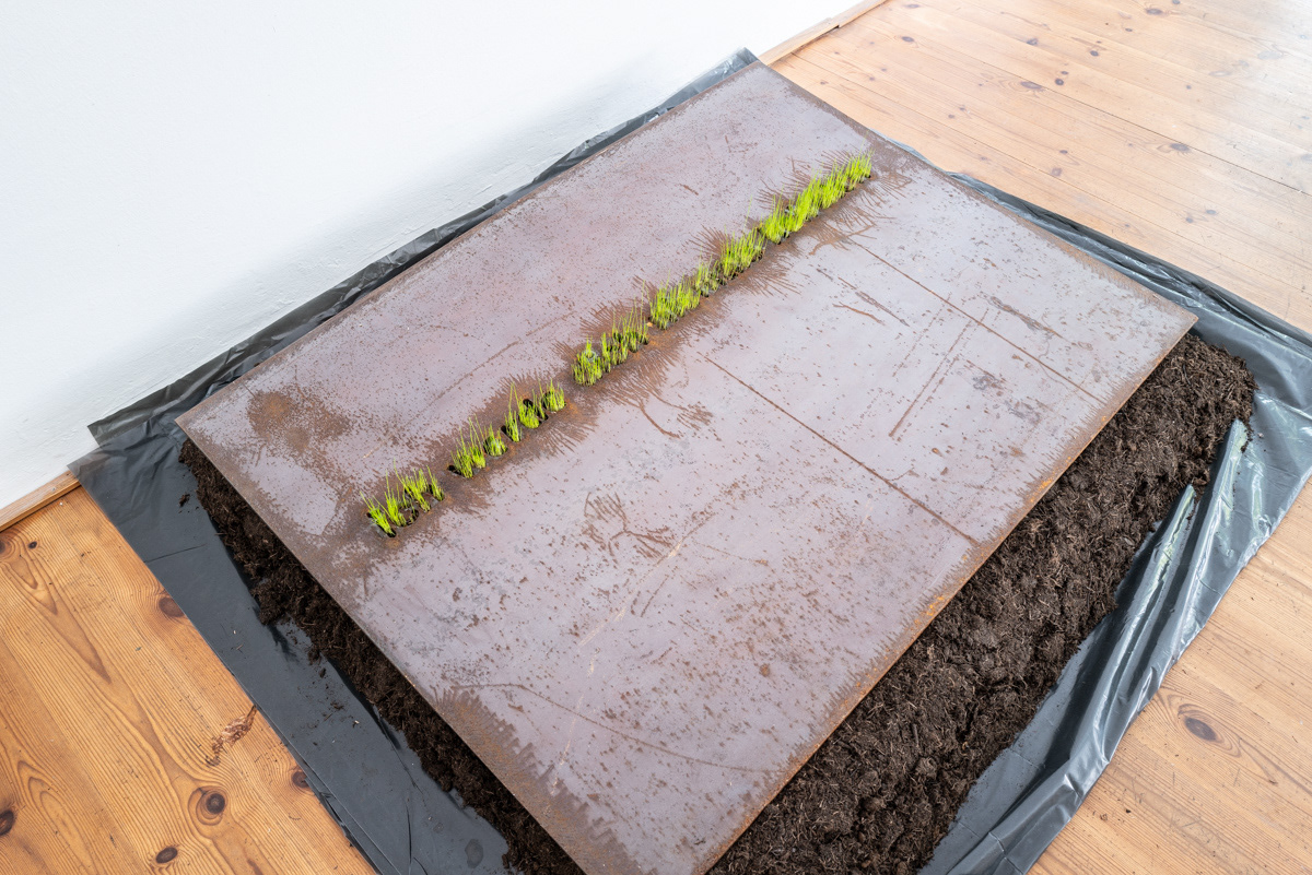 Ich werde dich niemals heiraten