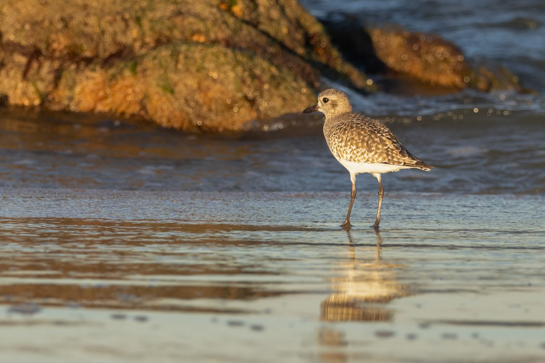 River-to-Sea Preserve