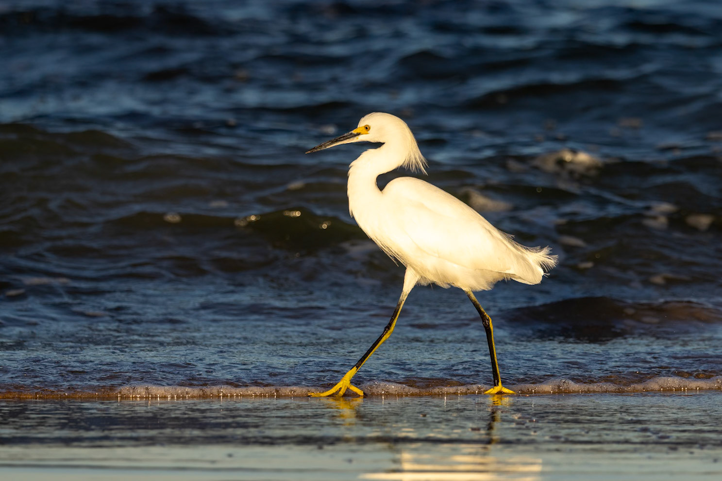 River-to-Sea Preserve