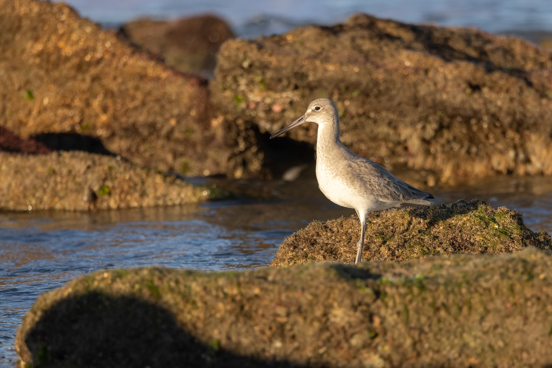 River-to-Sea Preserve