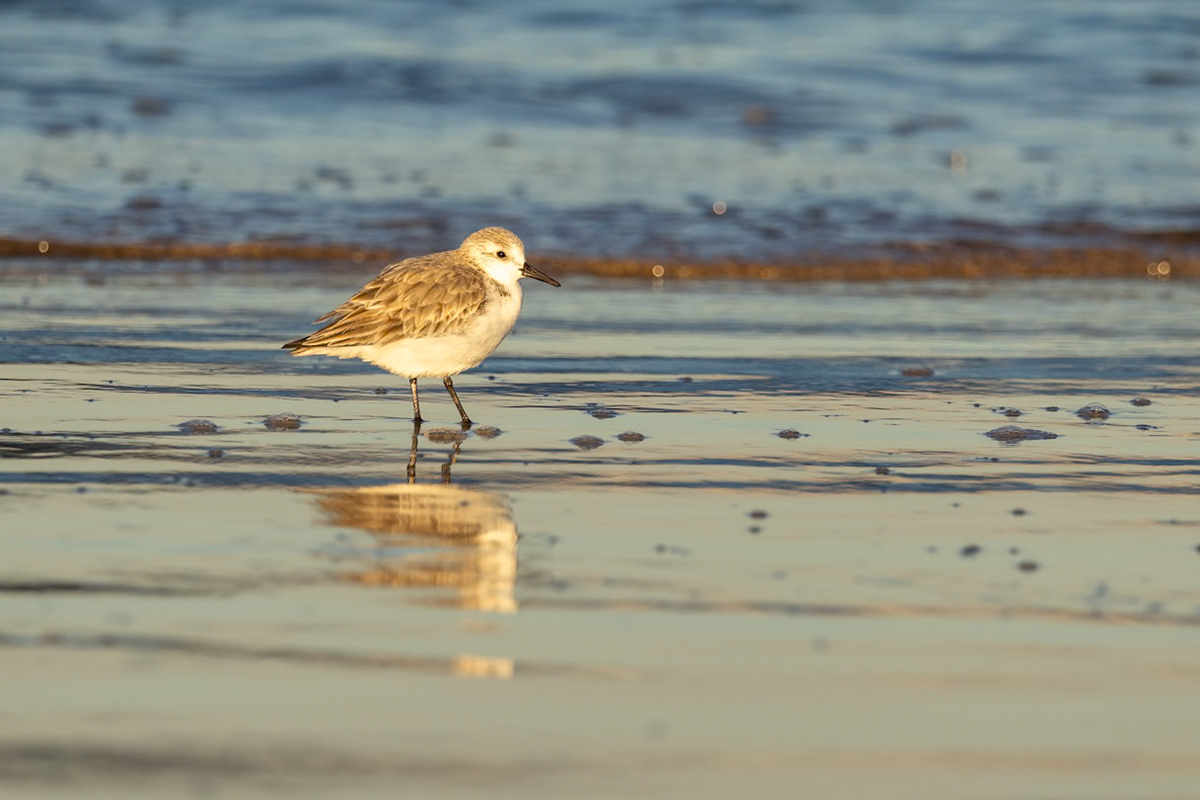 River-to-Sea Preserve