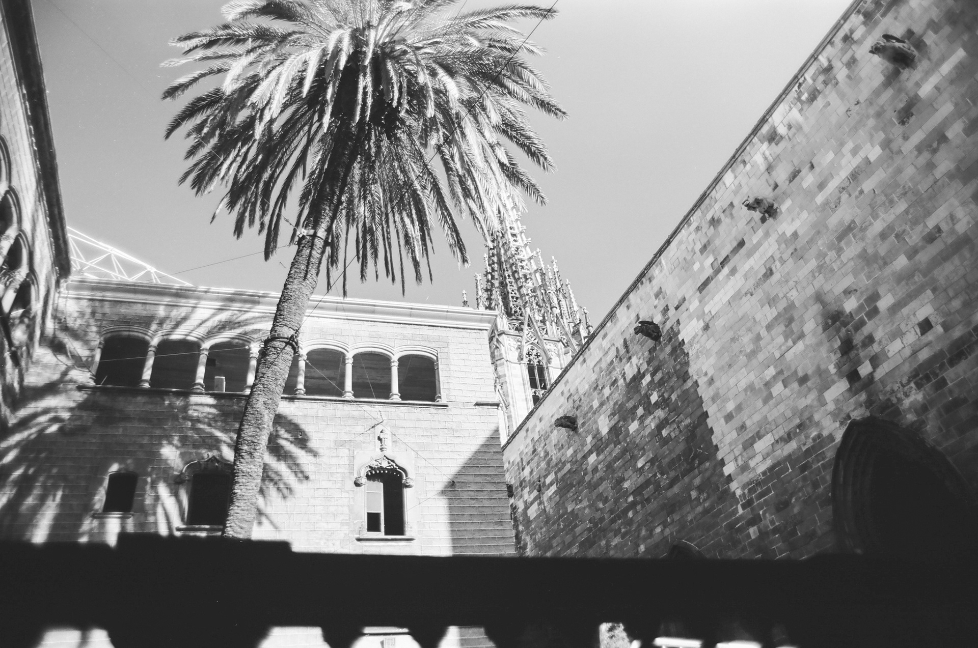 November Barcelona