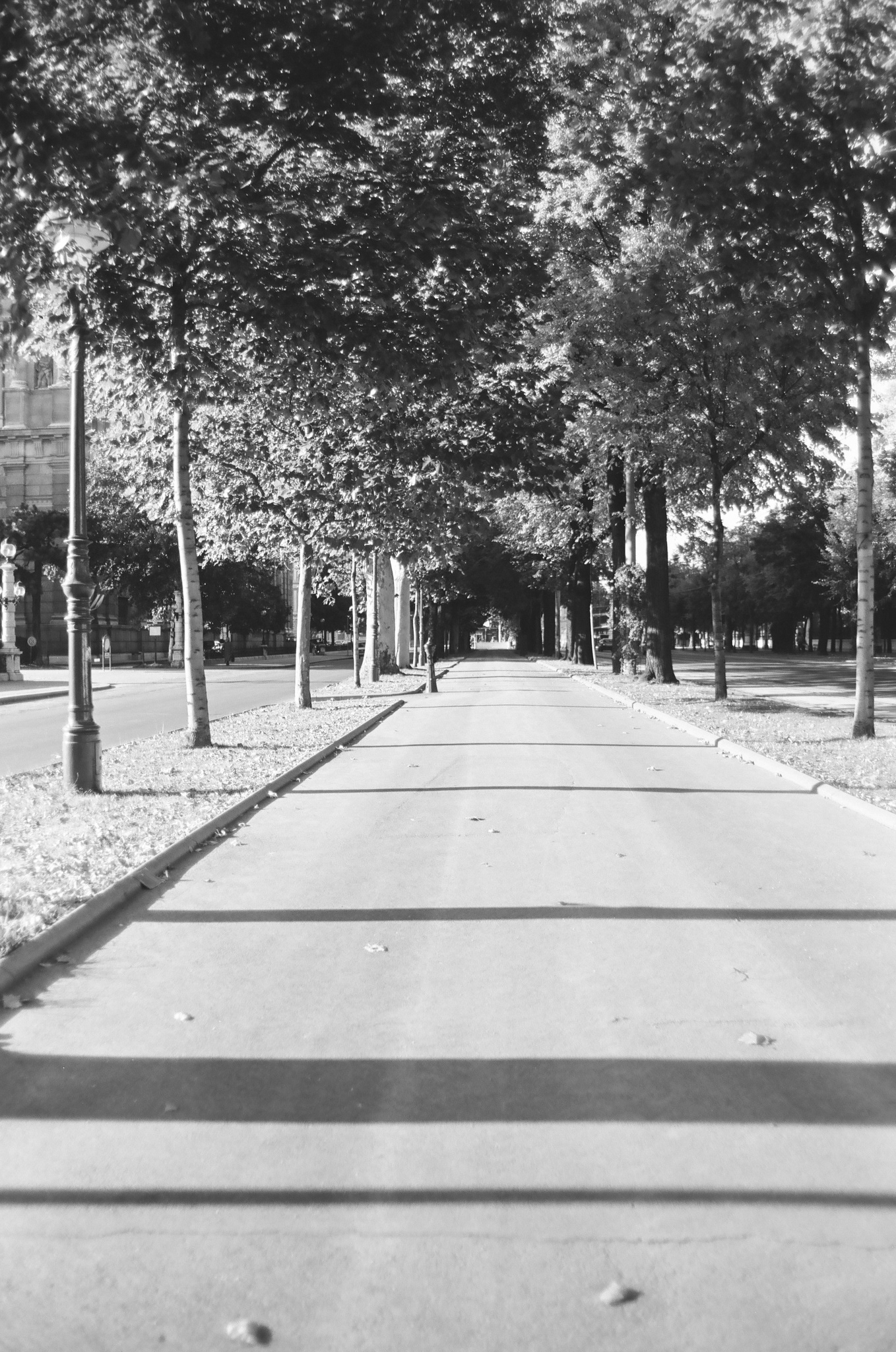 October Wien