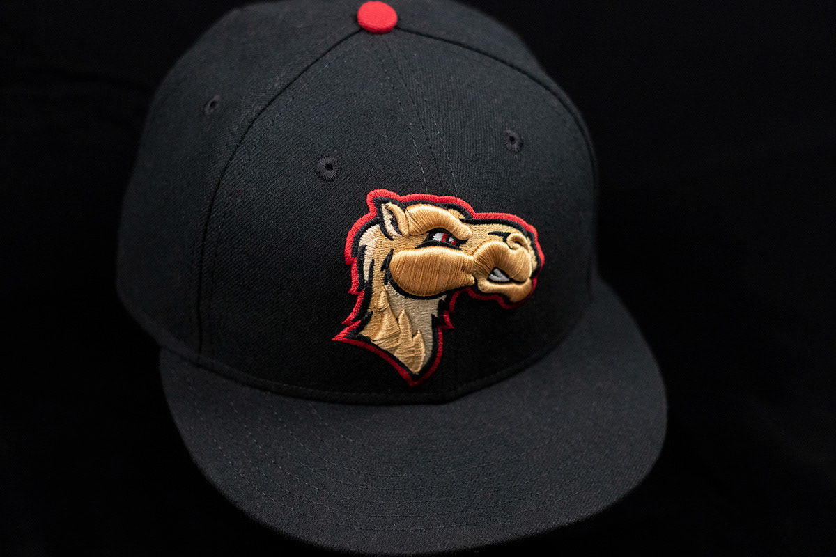 Great Lakes Camels Brand (2019)