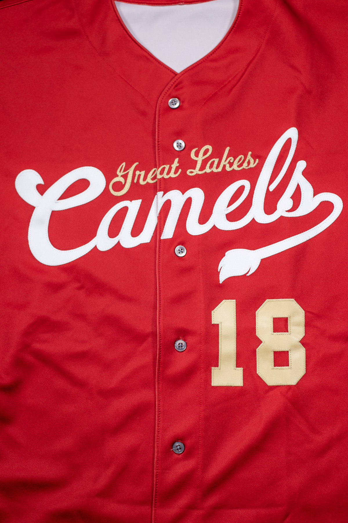 Great Lakes Camels Brand (2019)