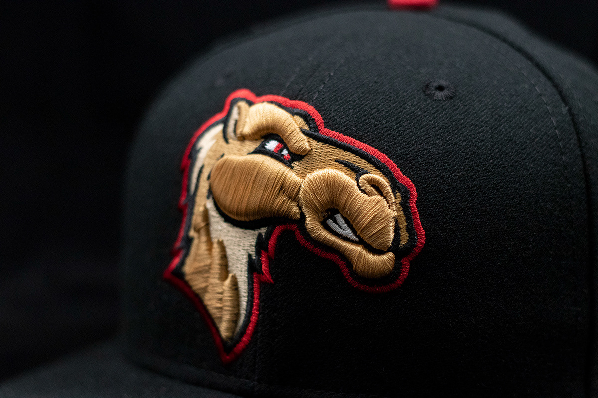 Great Lakes Camels Brand (2019)