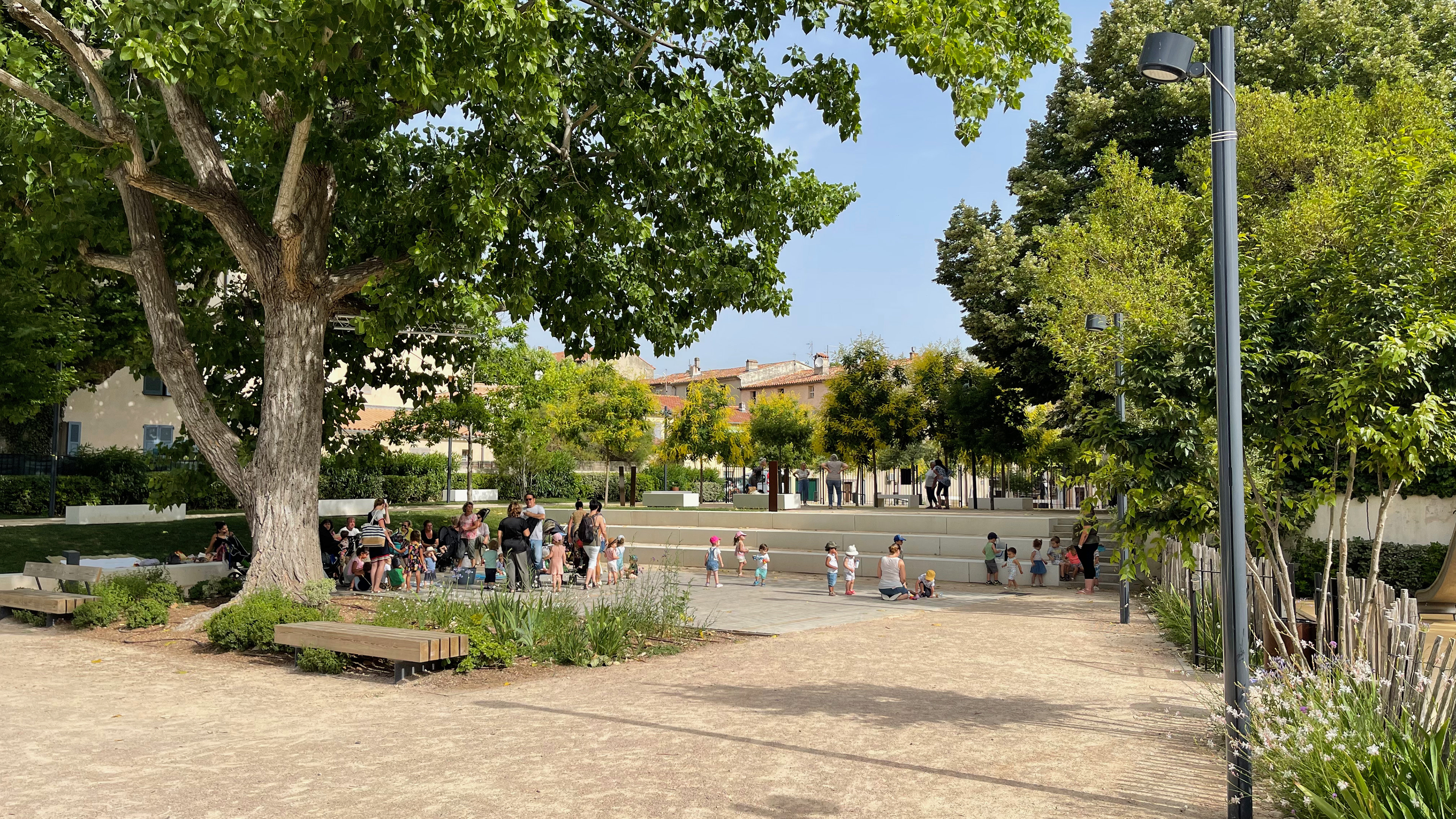 Le peuplier centenaire - observe les nouvelles activités au jardin