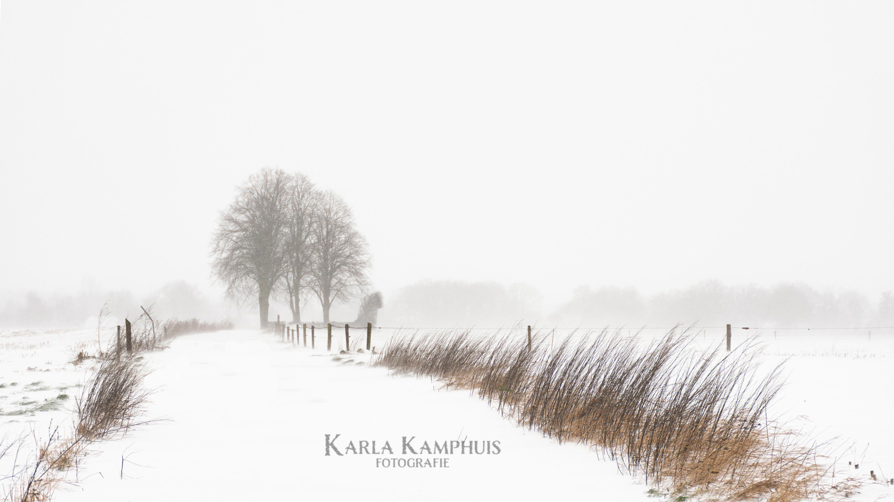 Sneeuw op 'n Es