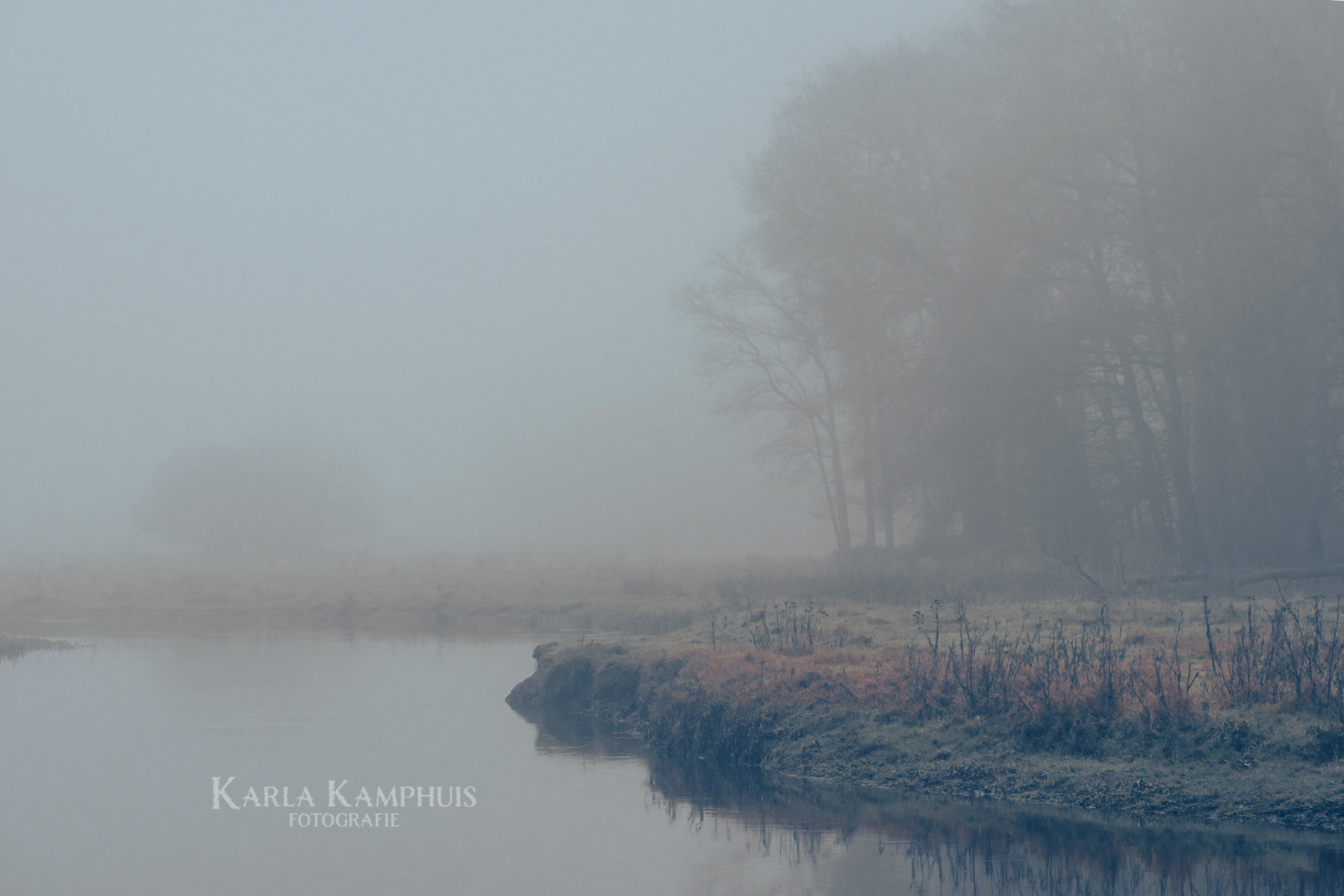 Regge mist