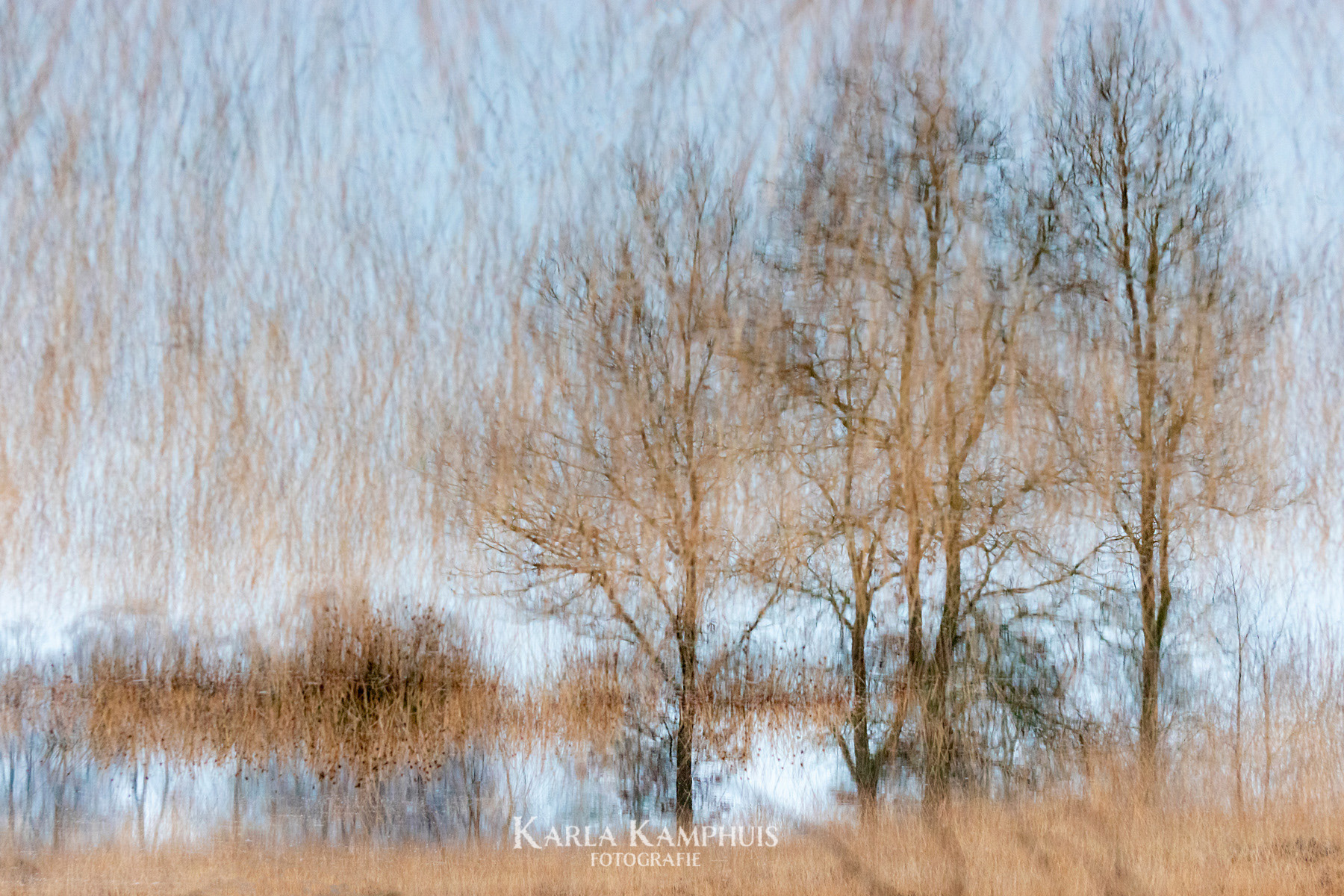 Water reflectie 1