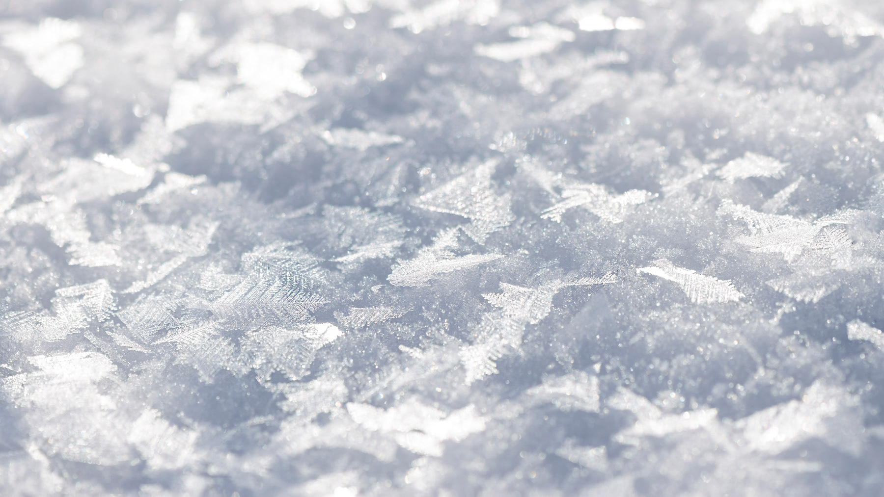 Sneeuwvlokken