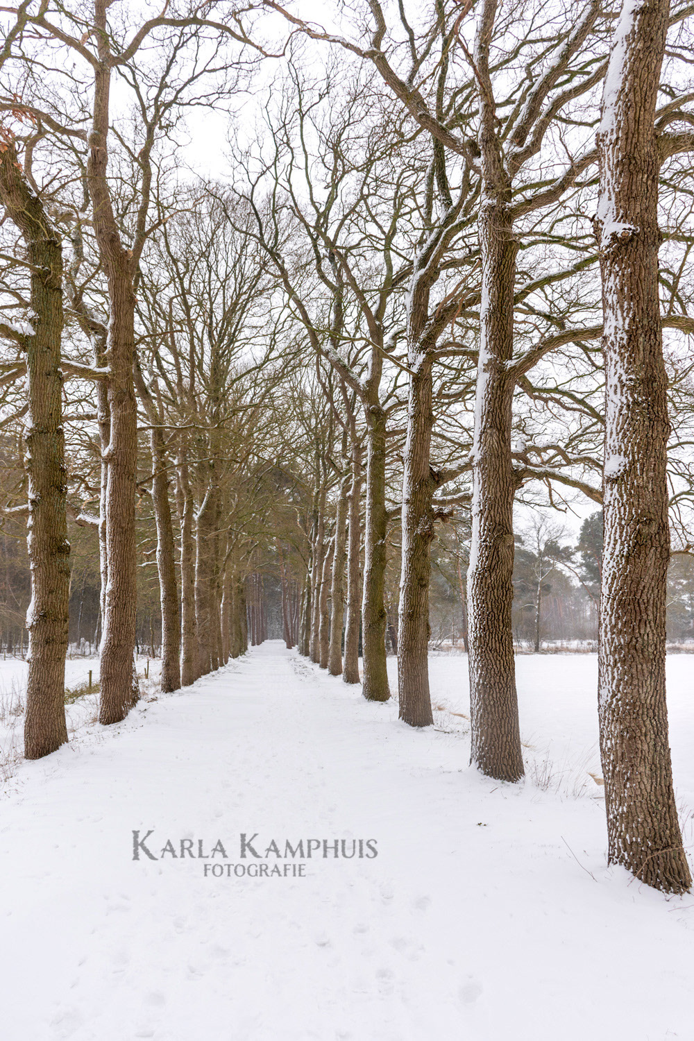 Eikenlaan sneeuw
