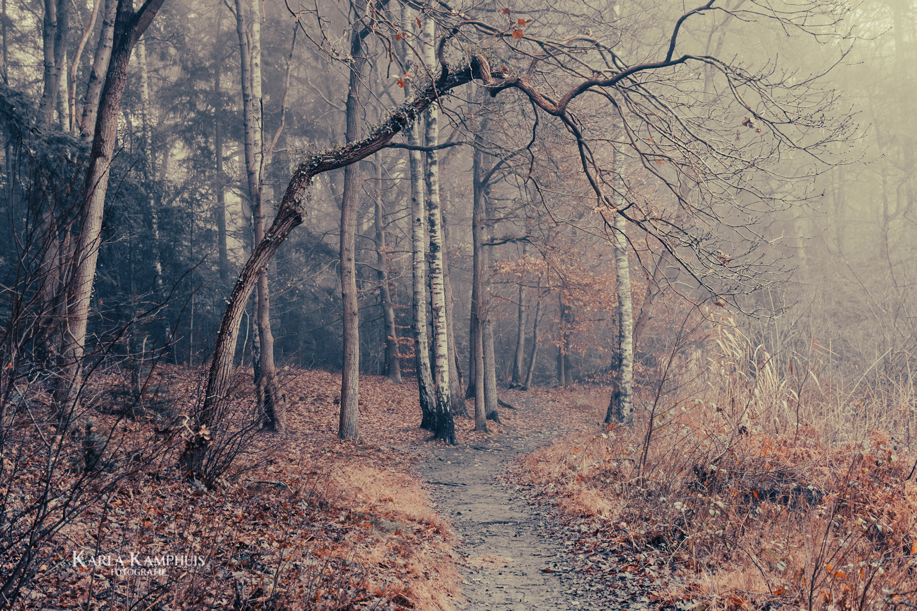 herfst