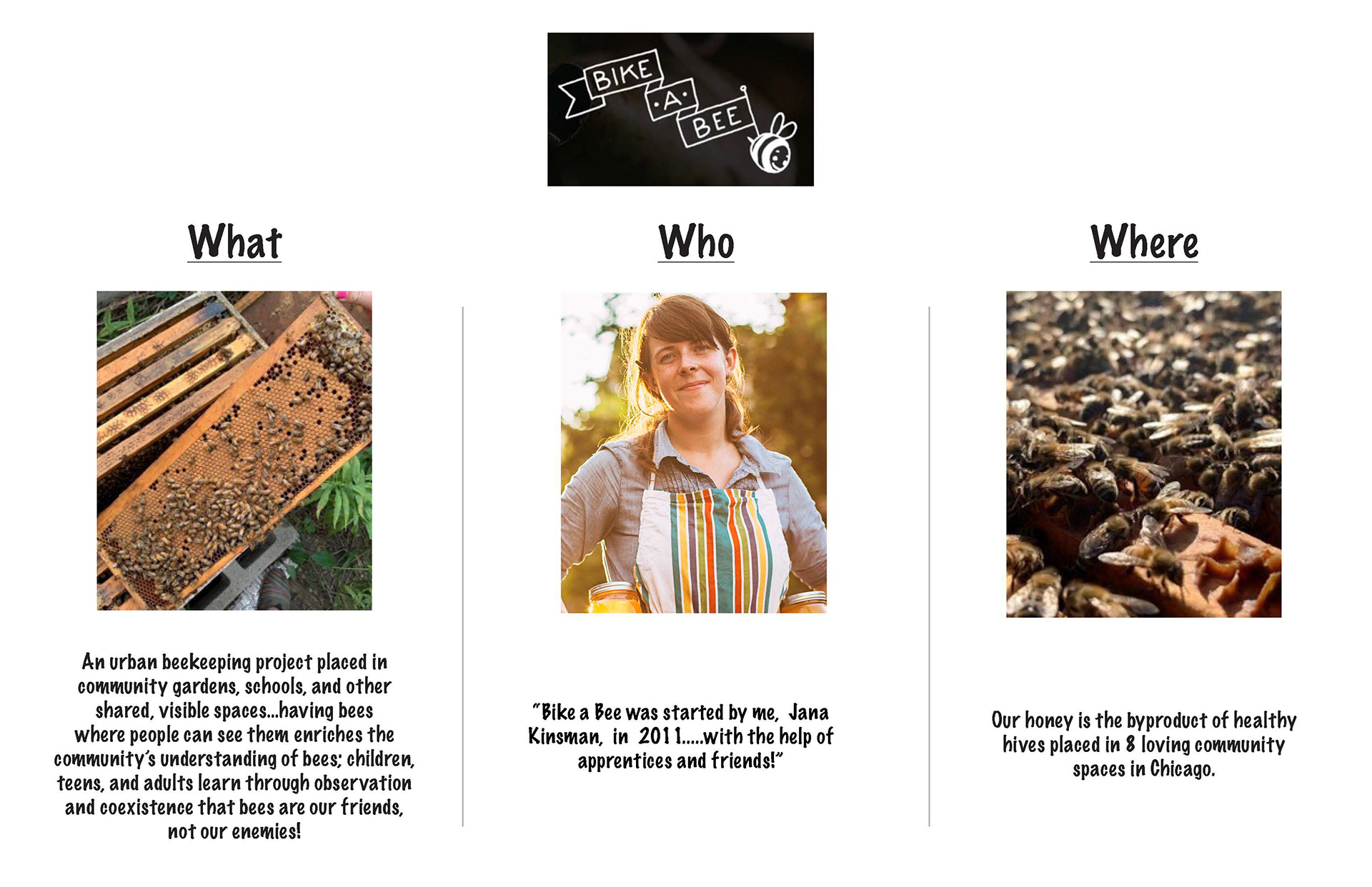 Brand Introduction