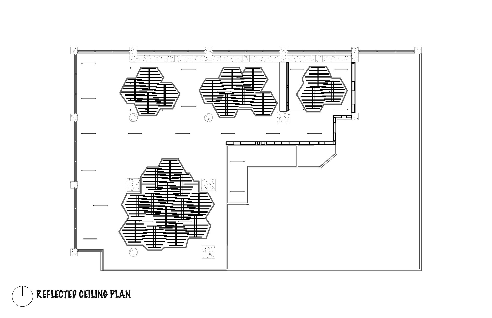 RCP Plan