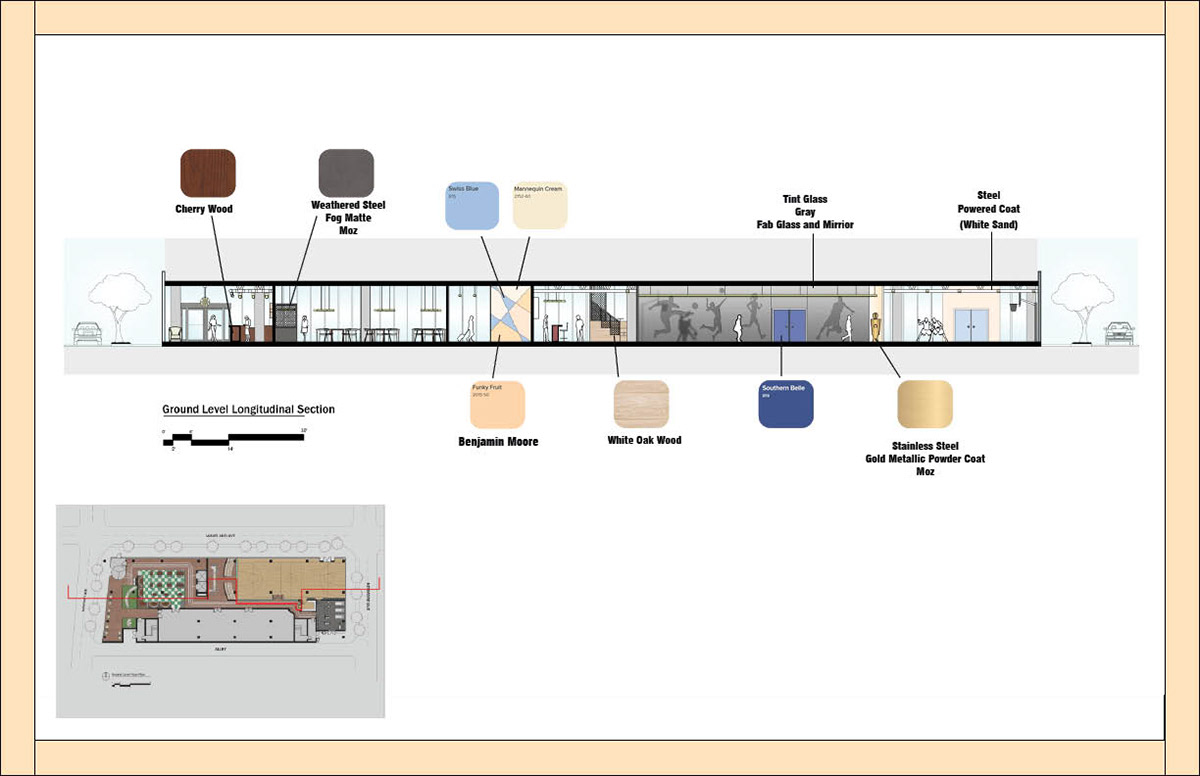 Longitudinal Section