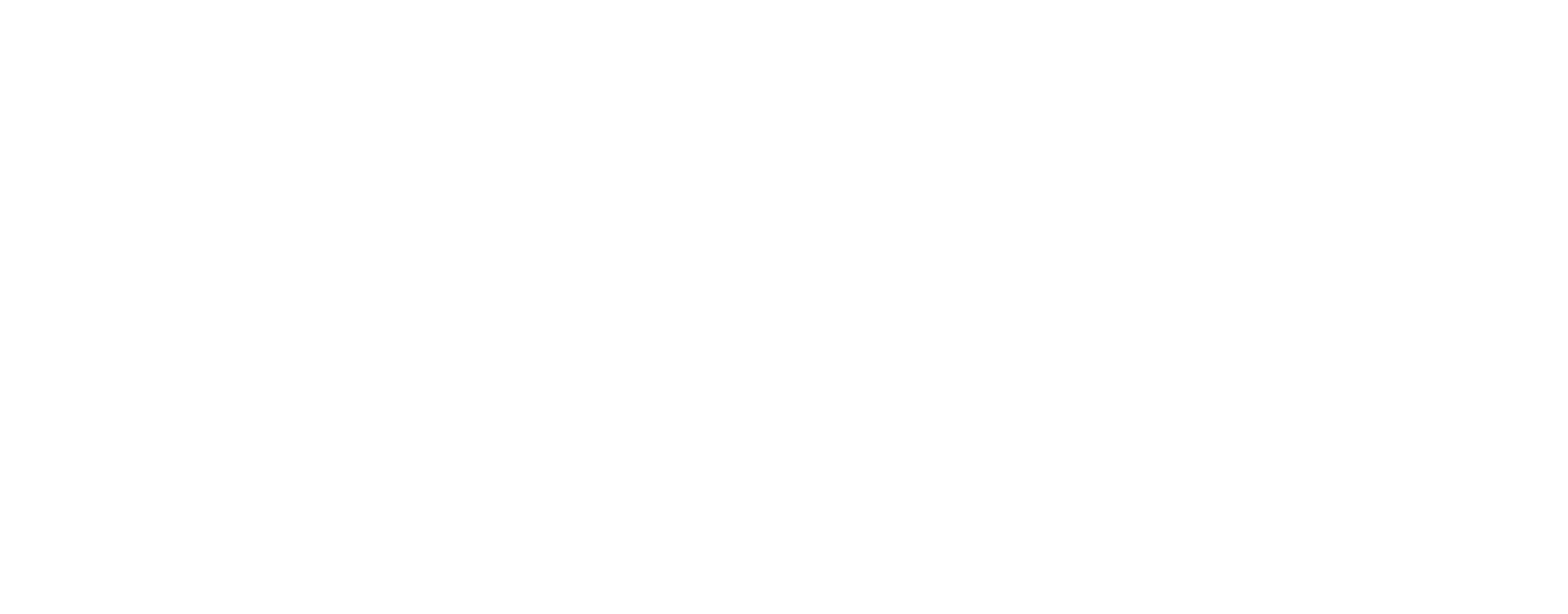 Shiran Siboni