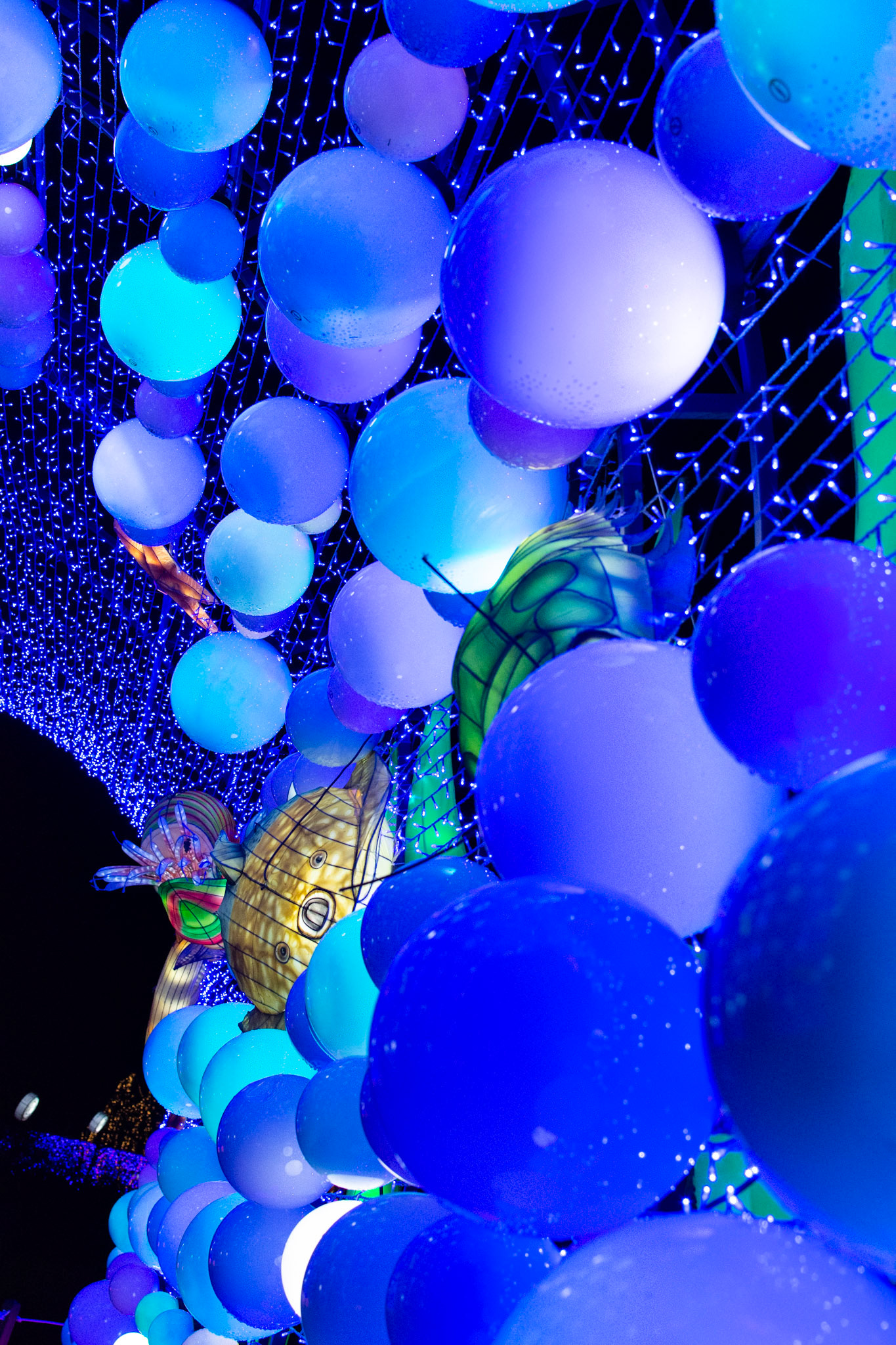 Giant Lanterns 2019, Edinburgh Zoo